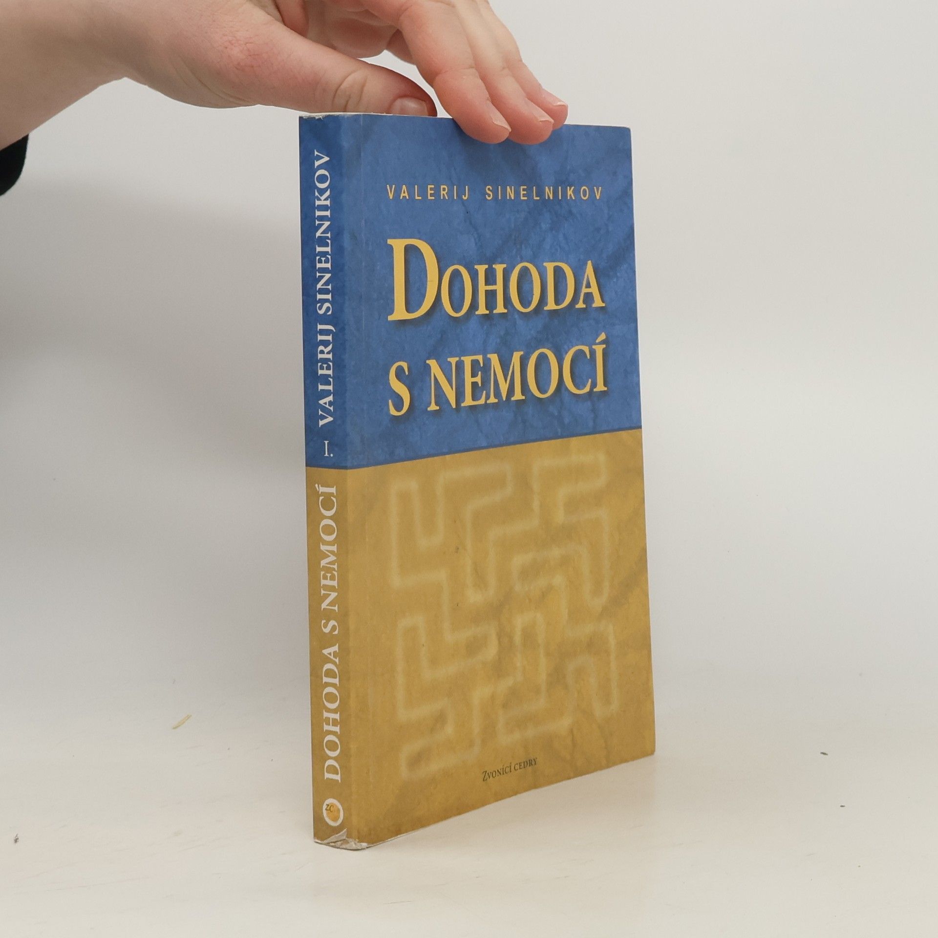 Valerij Vladimirovič Sinel‘nikov Dohoda s nemocí. Kniha první