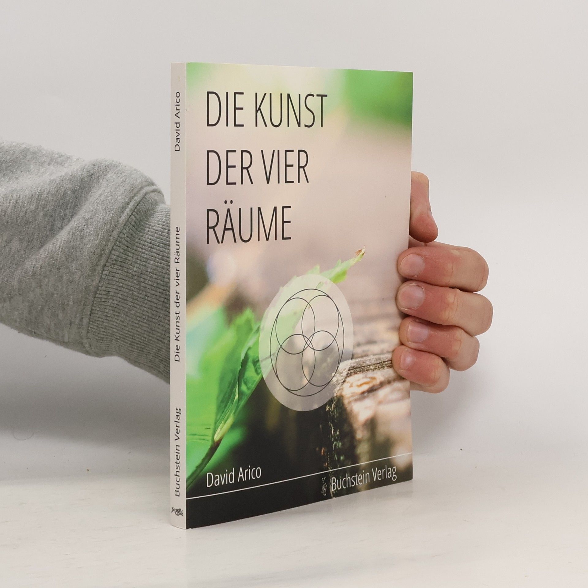 David Arico Die Kunst der vier Räume