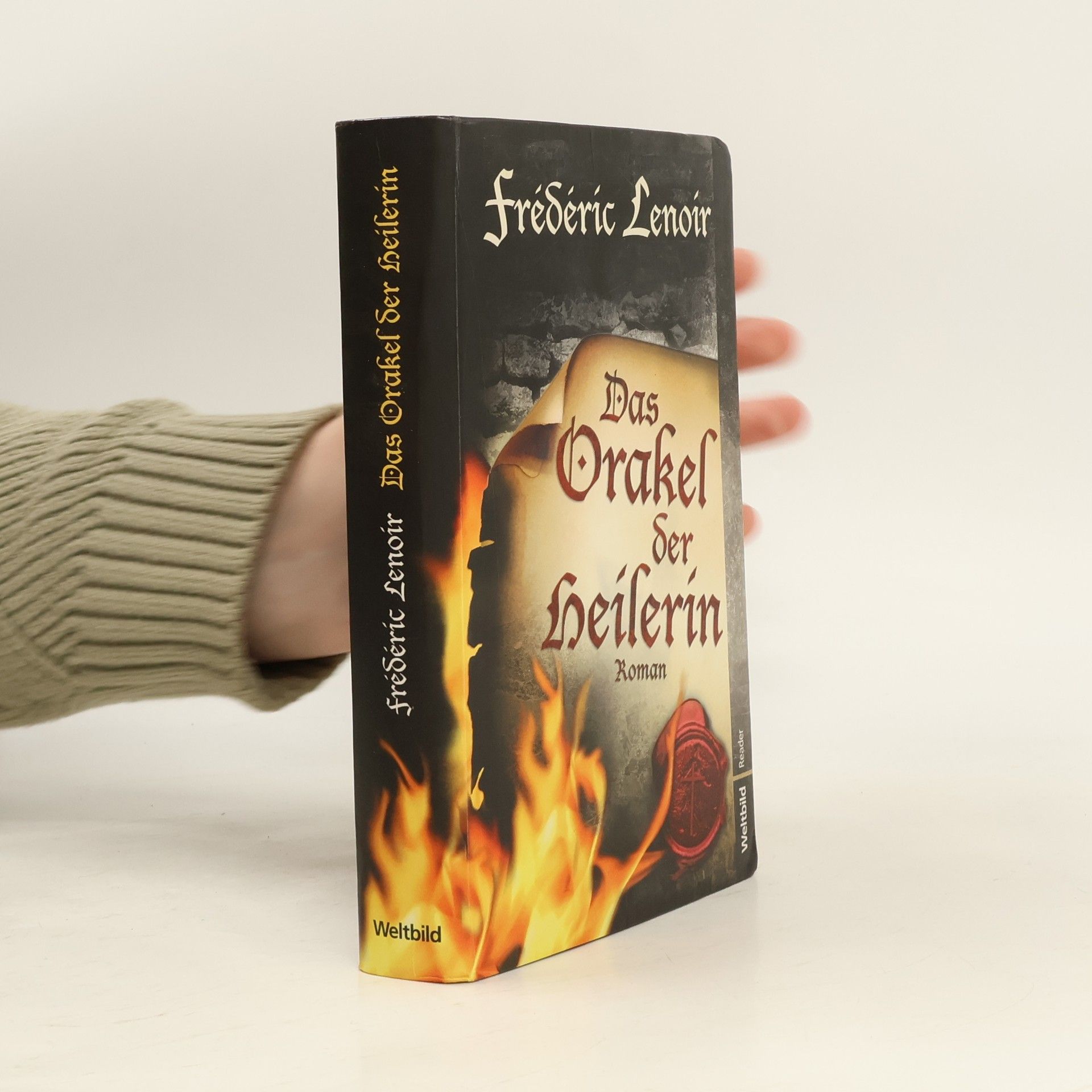 Frédéric Lenoir Das Orakel der Heilerin