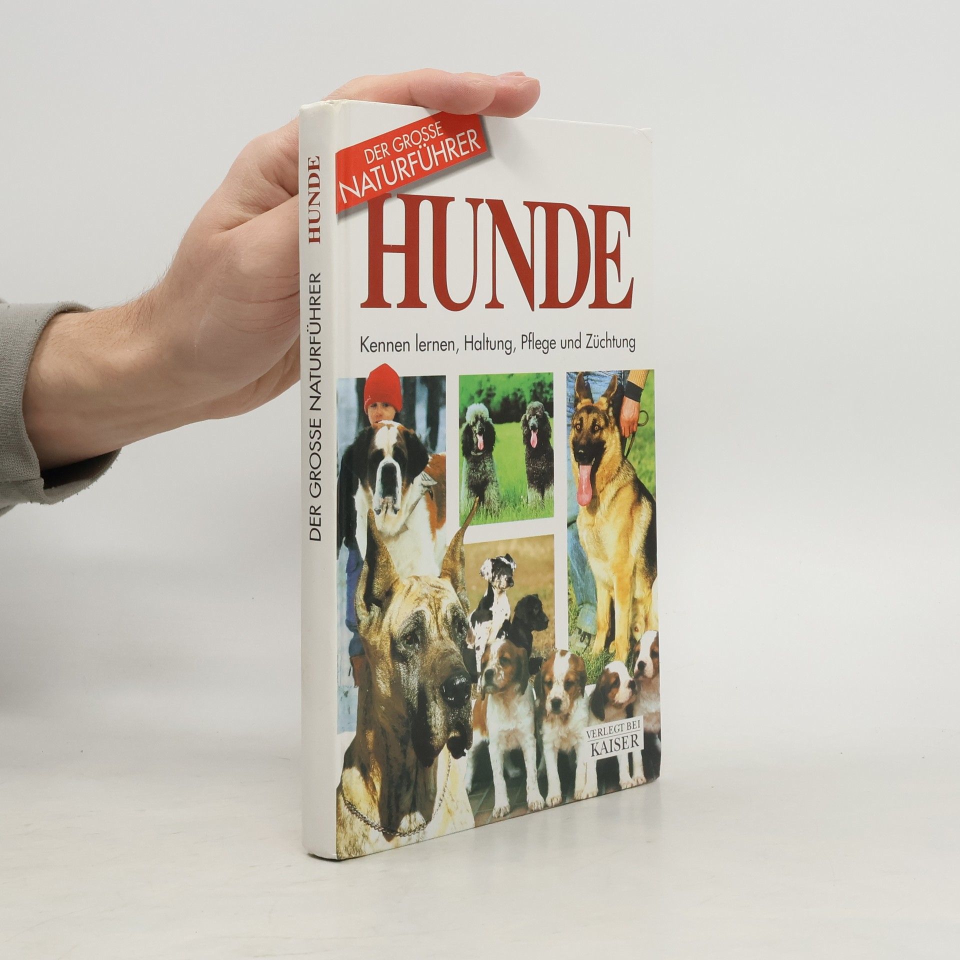 Rino Falappi Der Grosse Naturführer Hunde