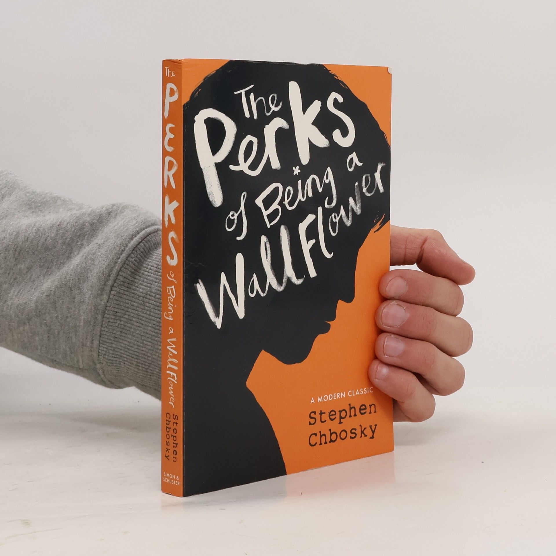 Stephen Chbosky The Perks of Being a Wallflower