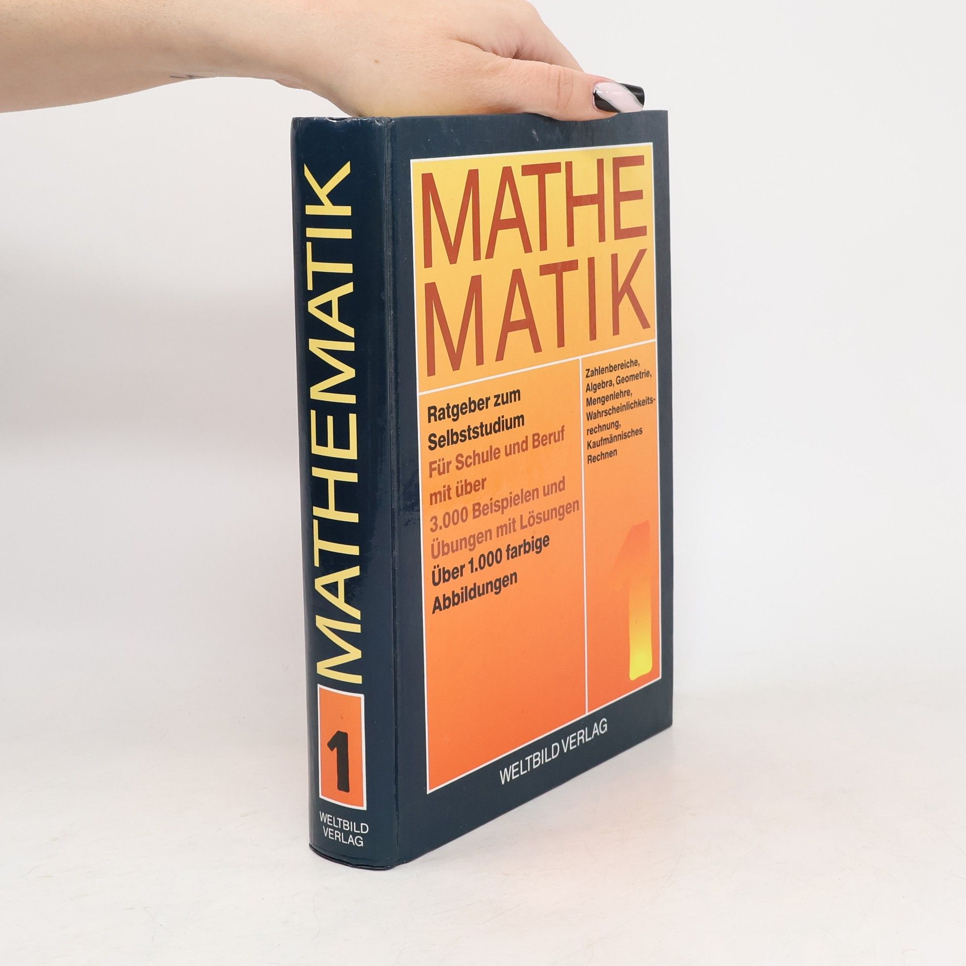 Kolektív autorov Mathematik 1. Ratgeber zum Selbststudium