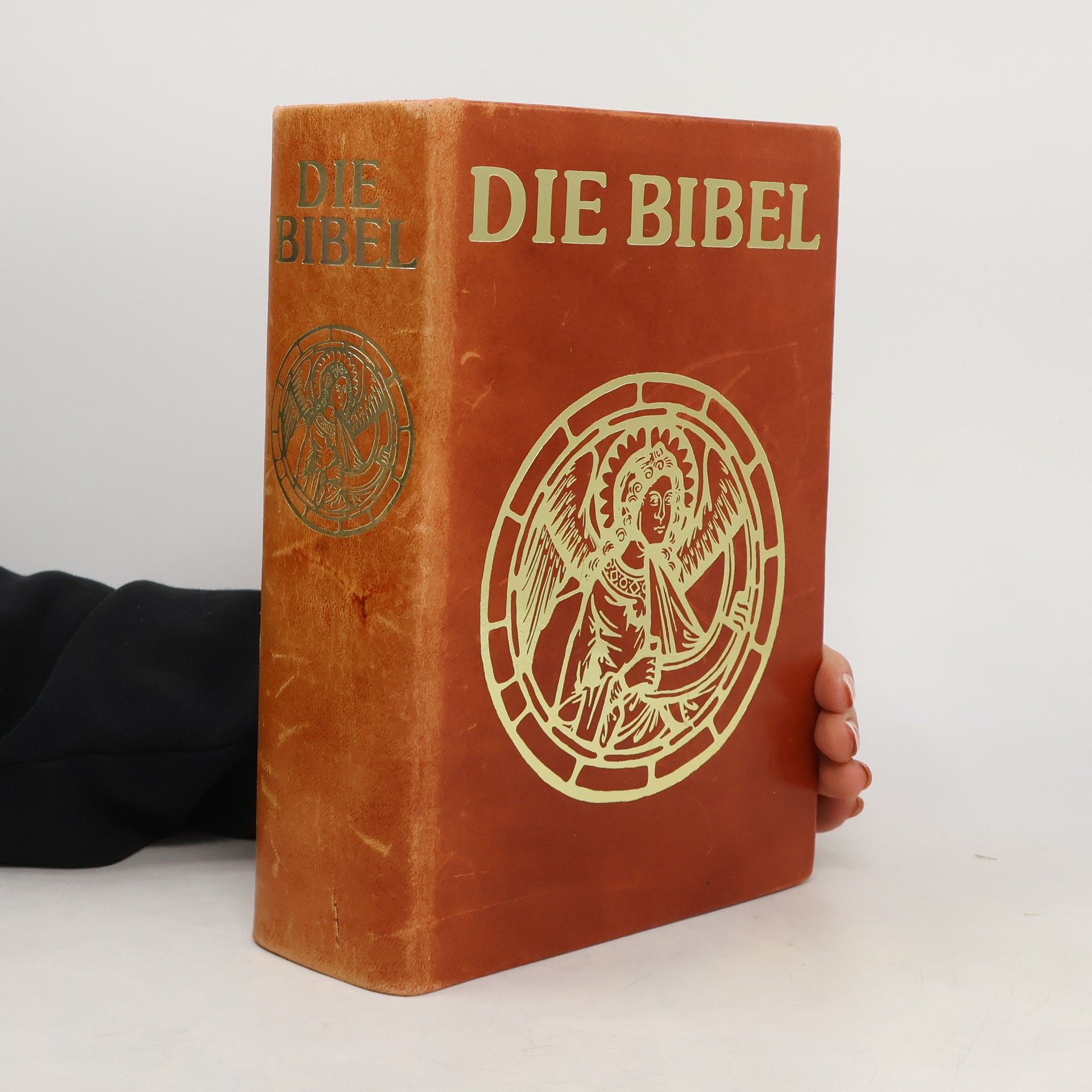 Collectif d'auteurs Die Bibel