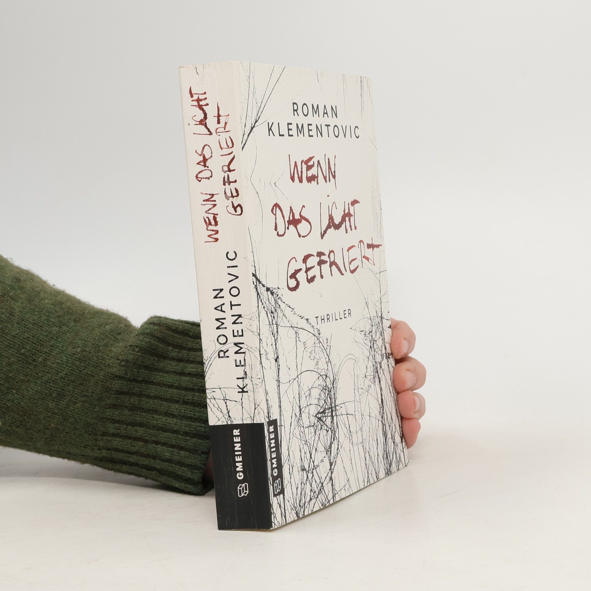 Roman Klementovic Wenn das Licht gefriert
