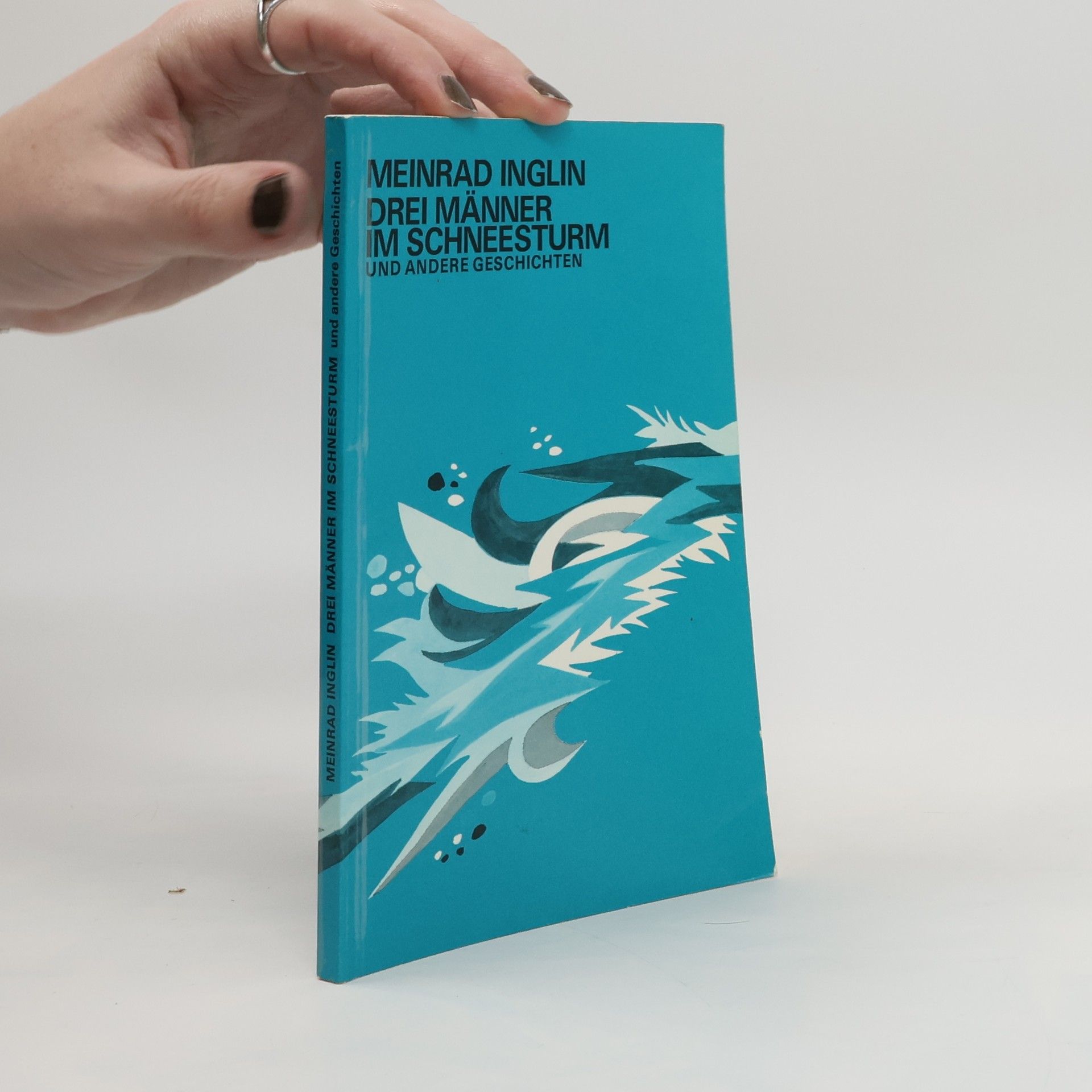 Drei Männer im Schneesturm und andere Geschichten