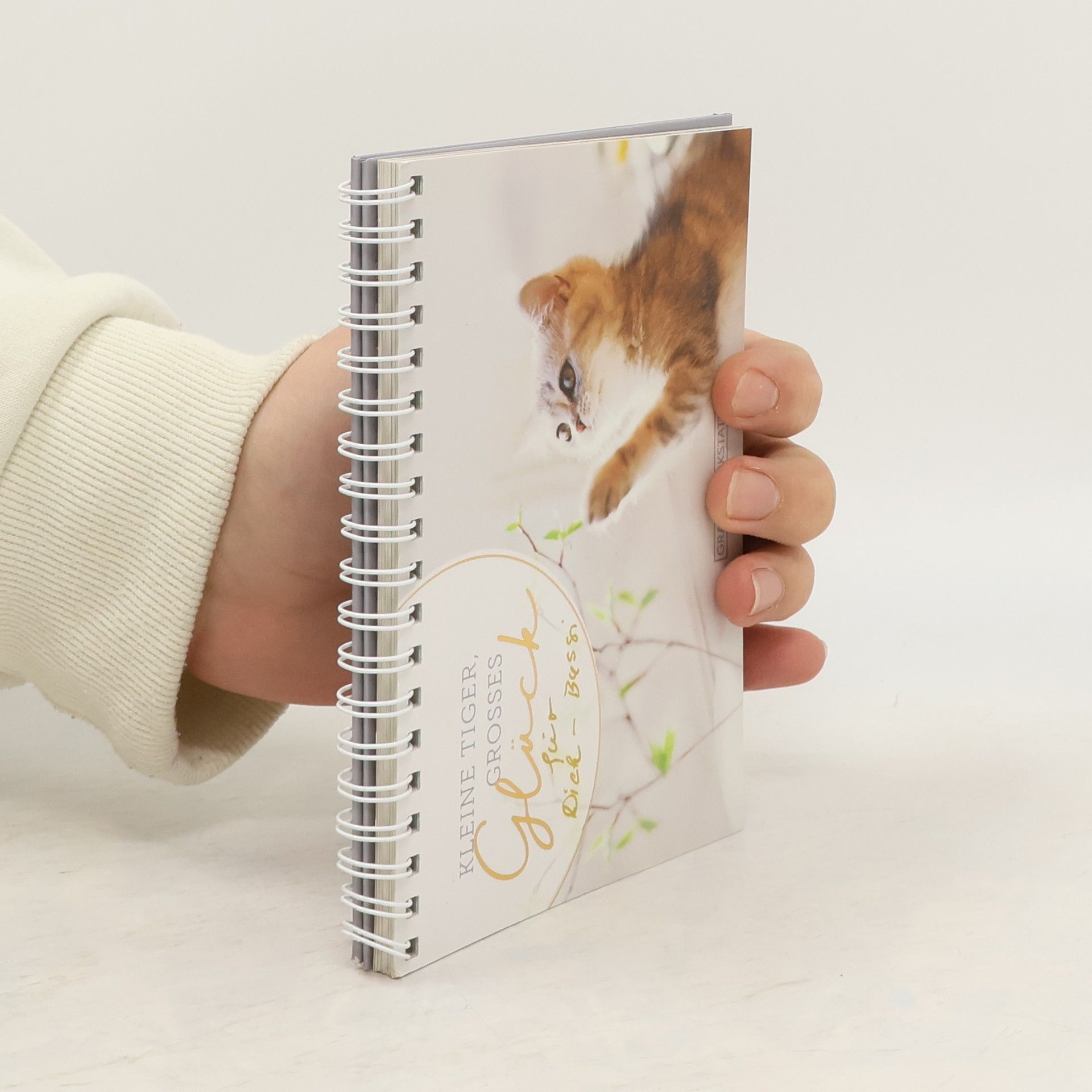 Autores varios Kleine Tiger, großes Glück!