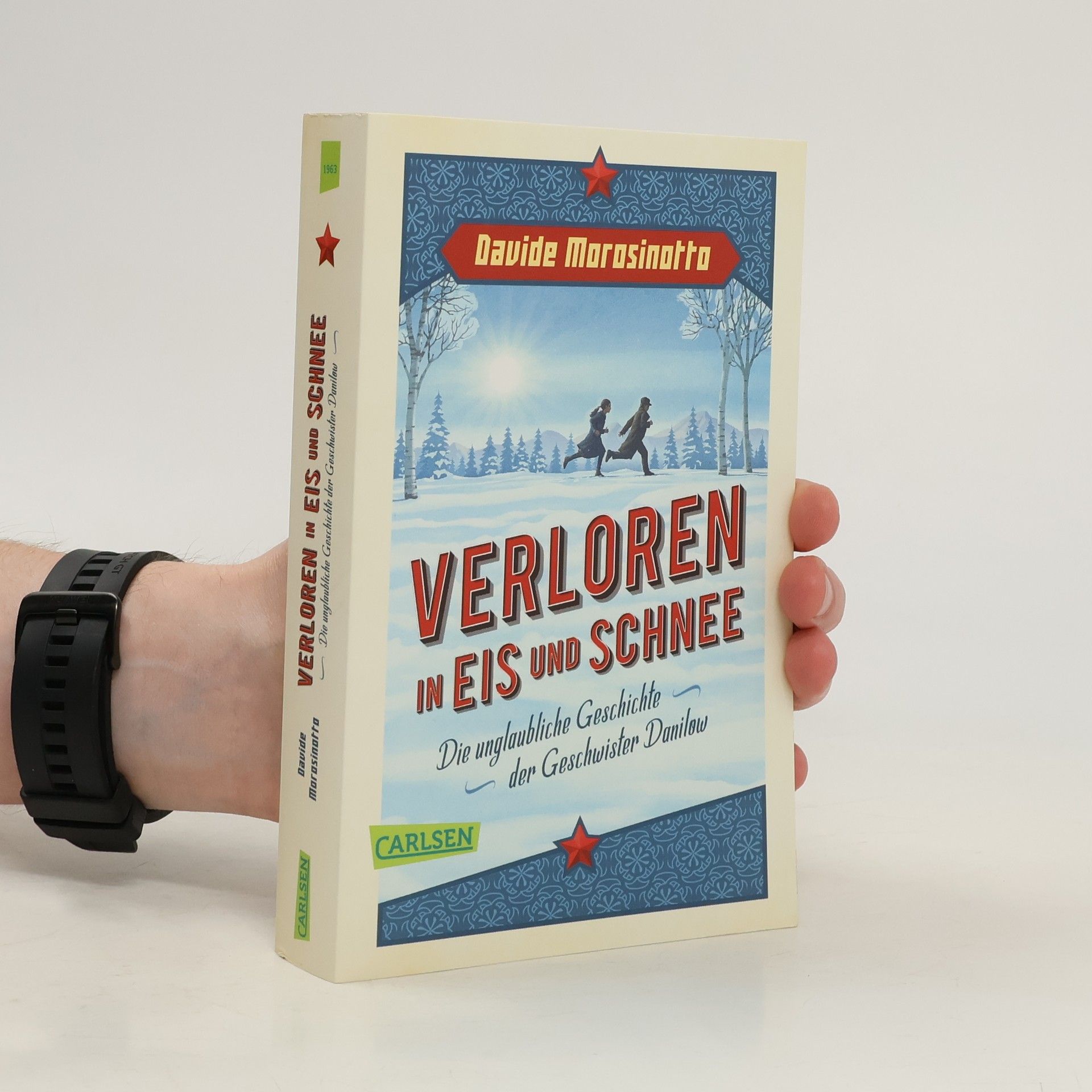 Davide Morosinotto Verloren in Eis und Schnee