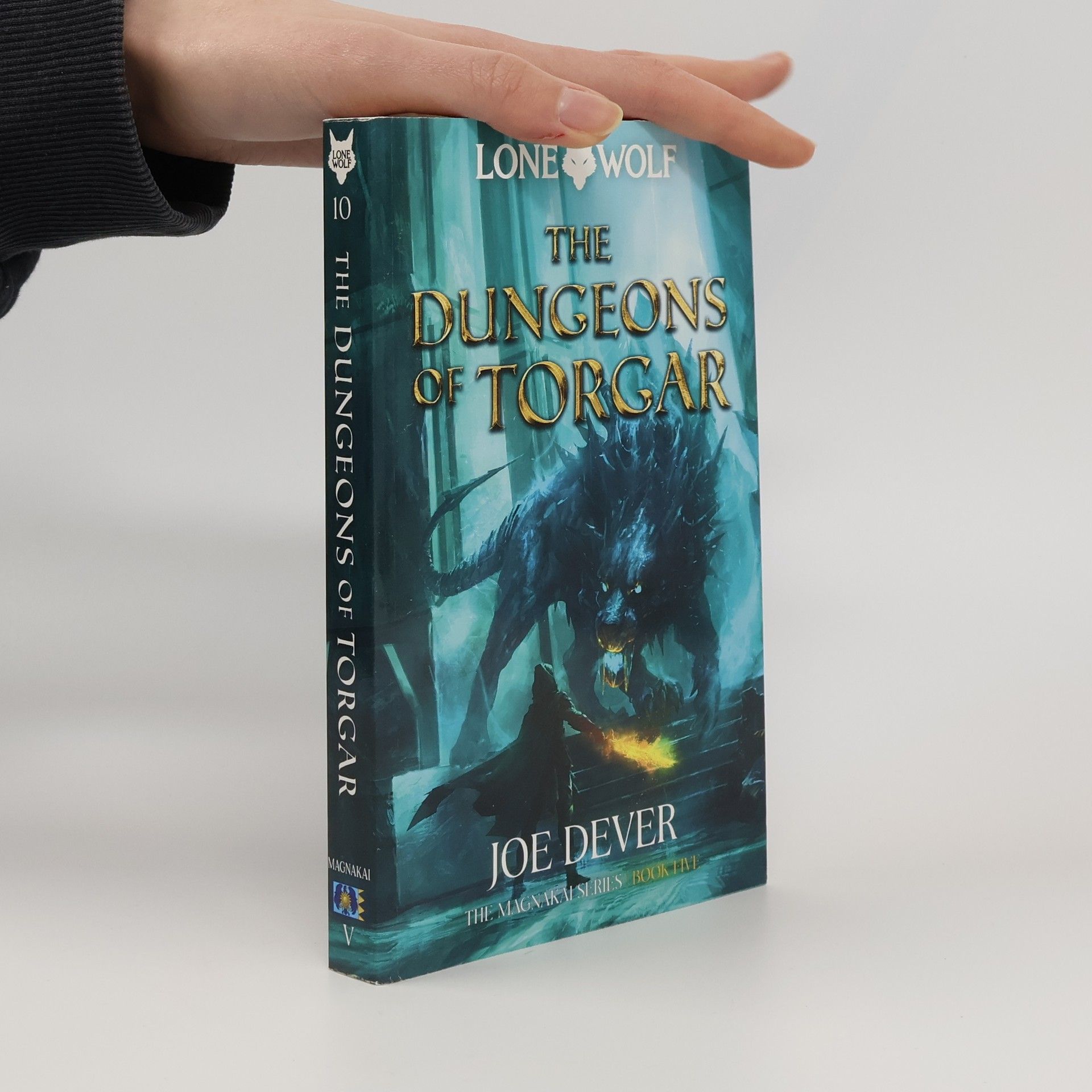 Joe Dever The Dungeons of Torgar