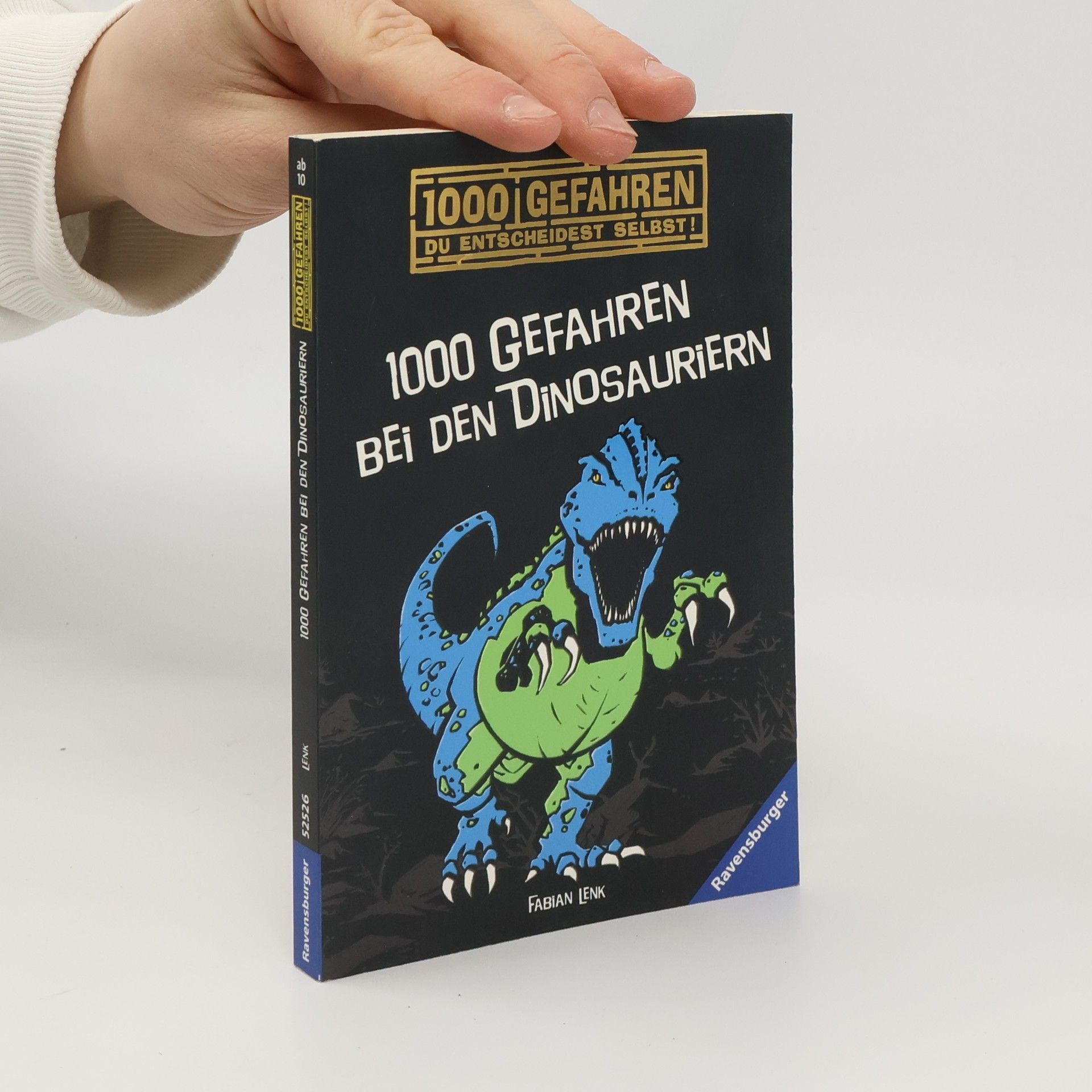 Fabian Lenk 1000 Gefahren bei den Dinosauriern