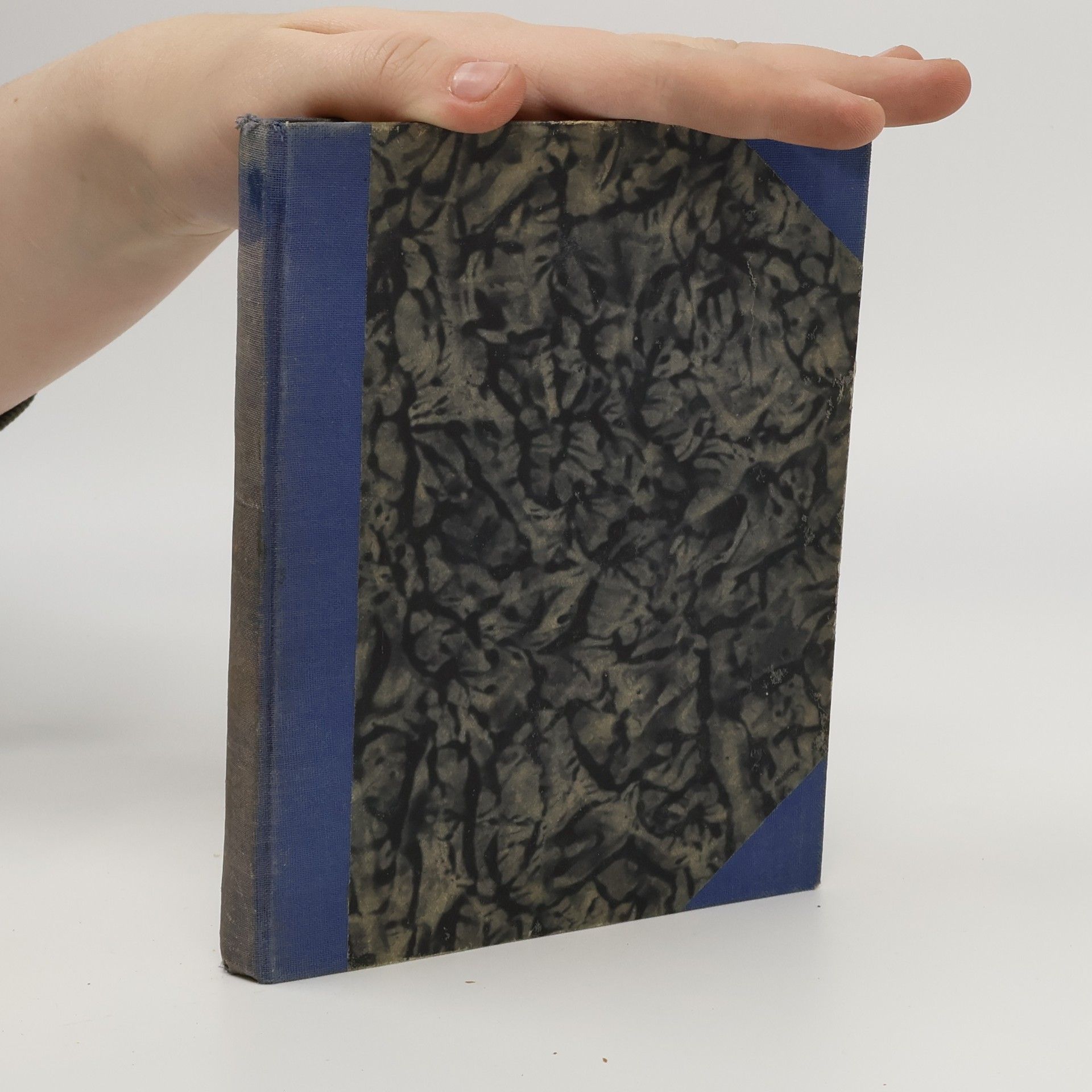 Walter Scott Perthská krasavice