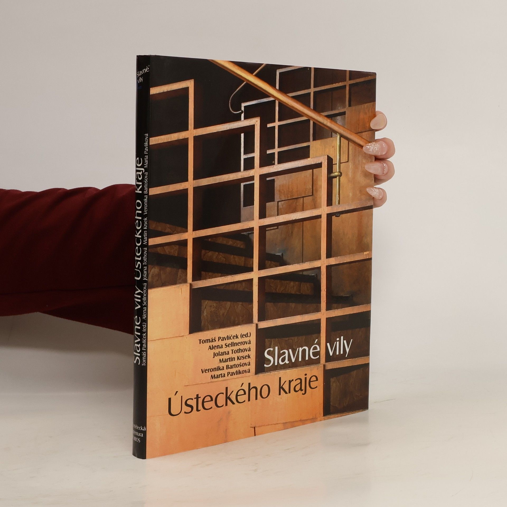 Autorenkollektiv Slavné vily Ústeckého kraje