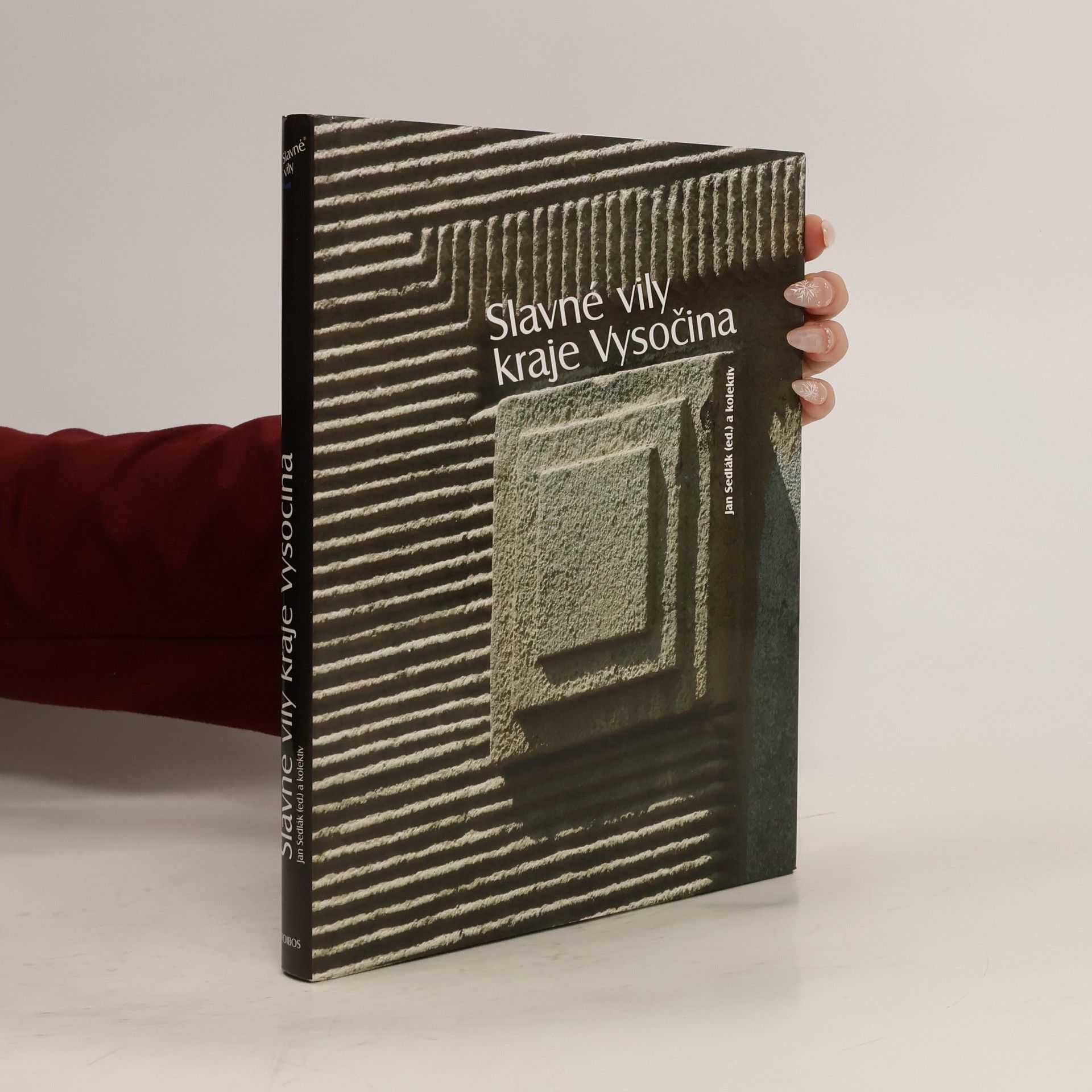 Petr Kratochvíl Slavné vily kraje Vysočina