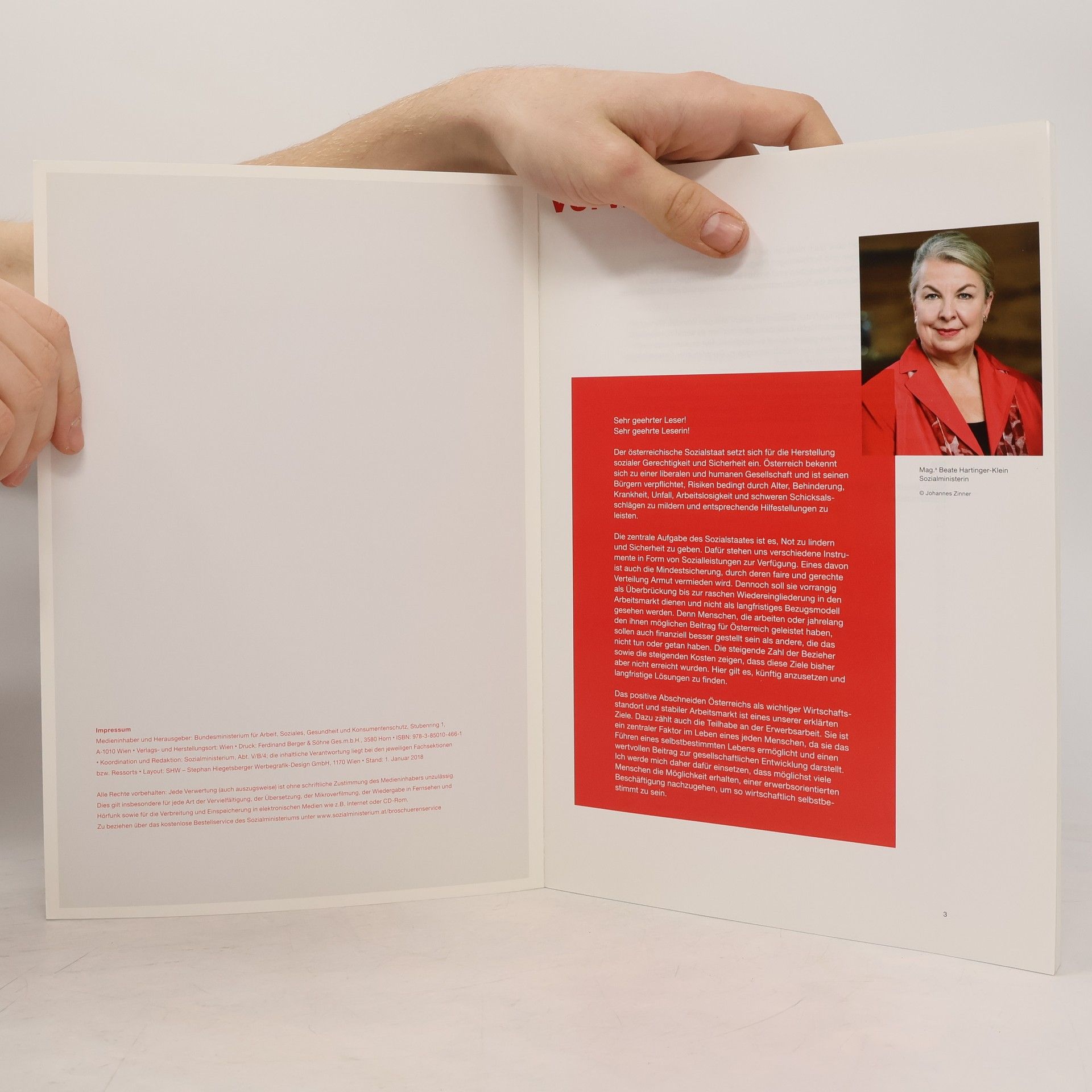 Autorenkollektiv Sozialstaat Österreich