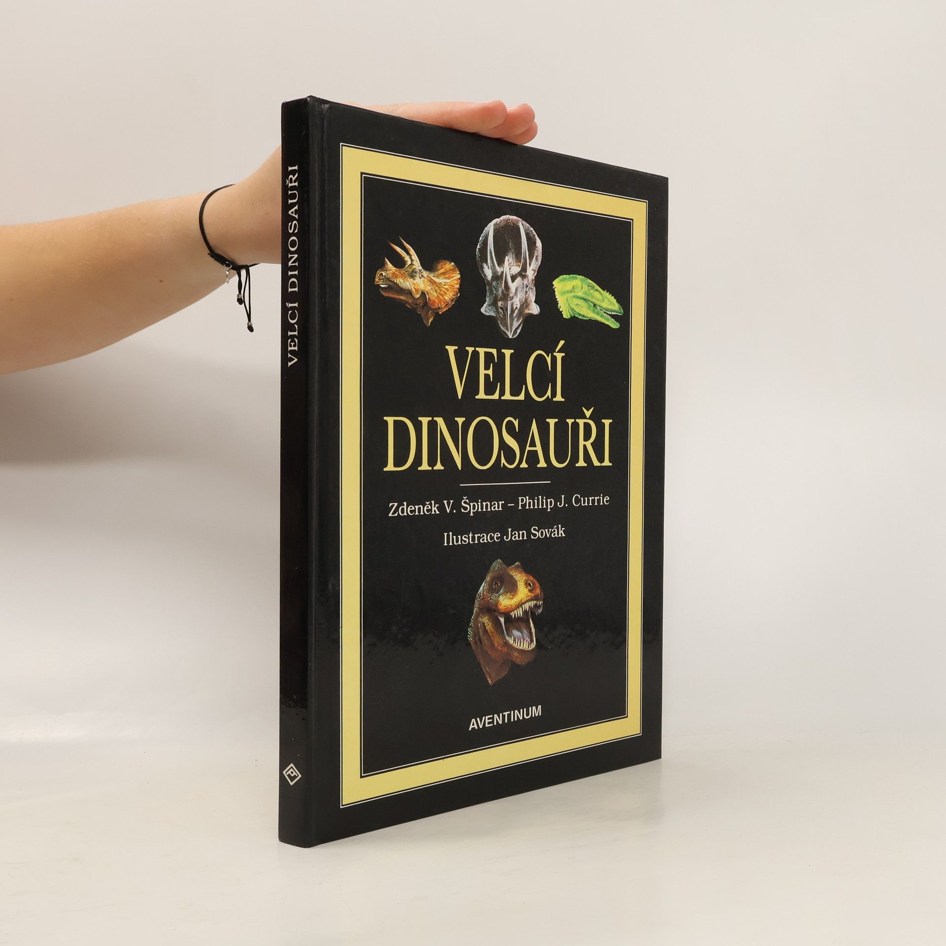 Velcí dinosauři