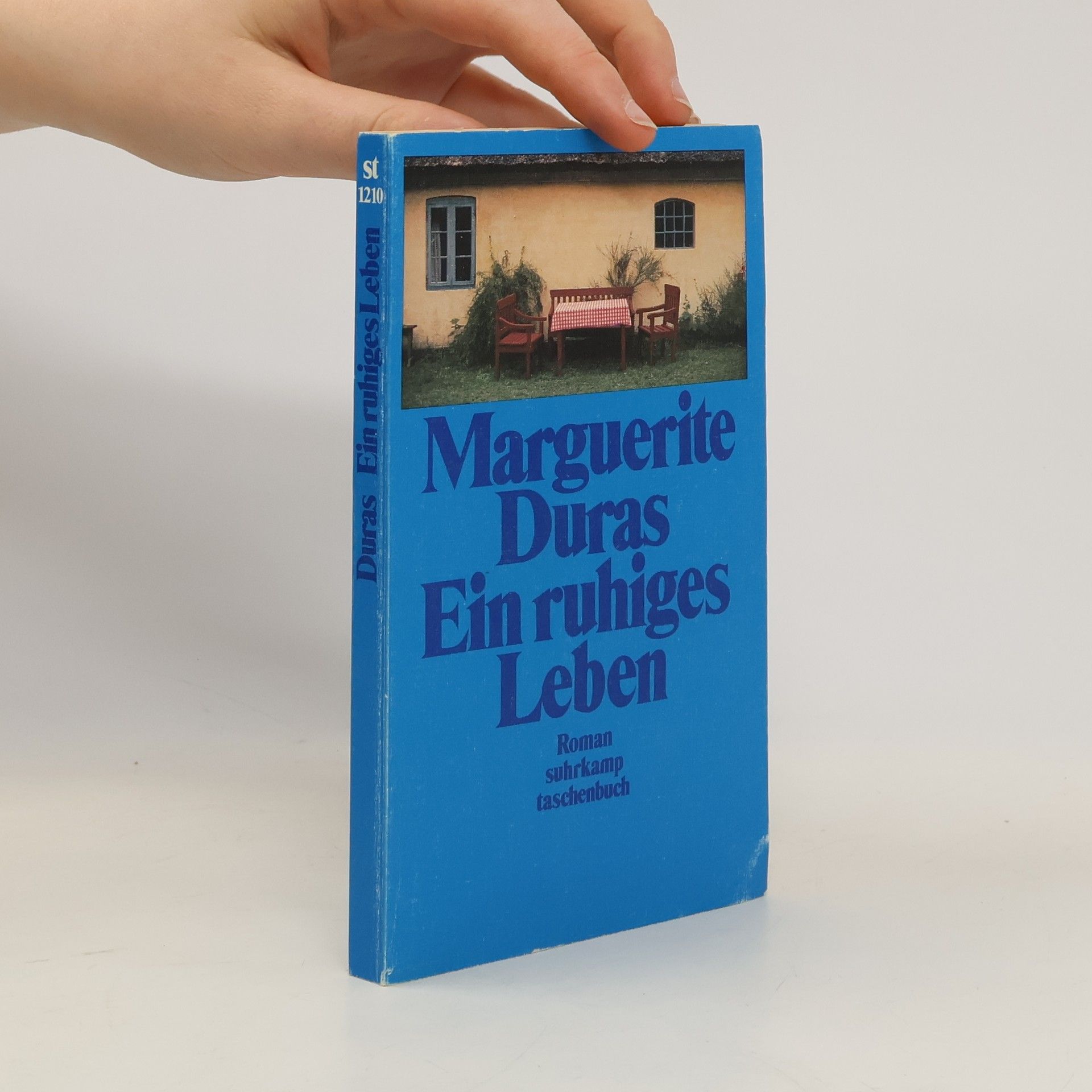 Marguerite Duras Ein ruhiges Leben. Roman