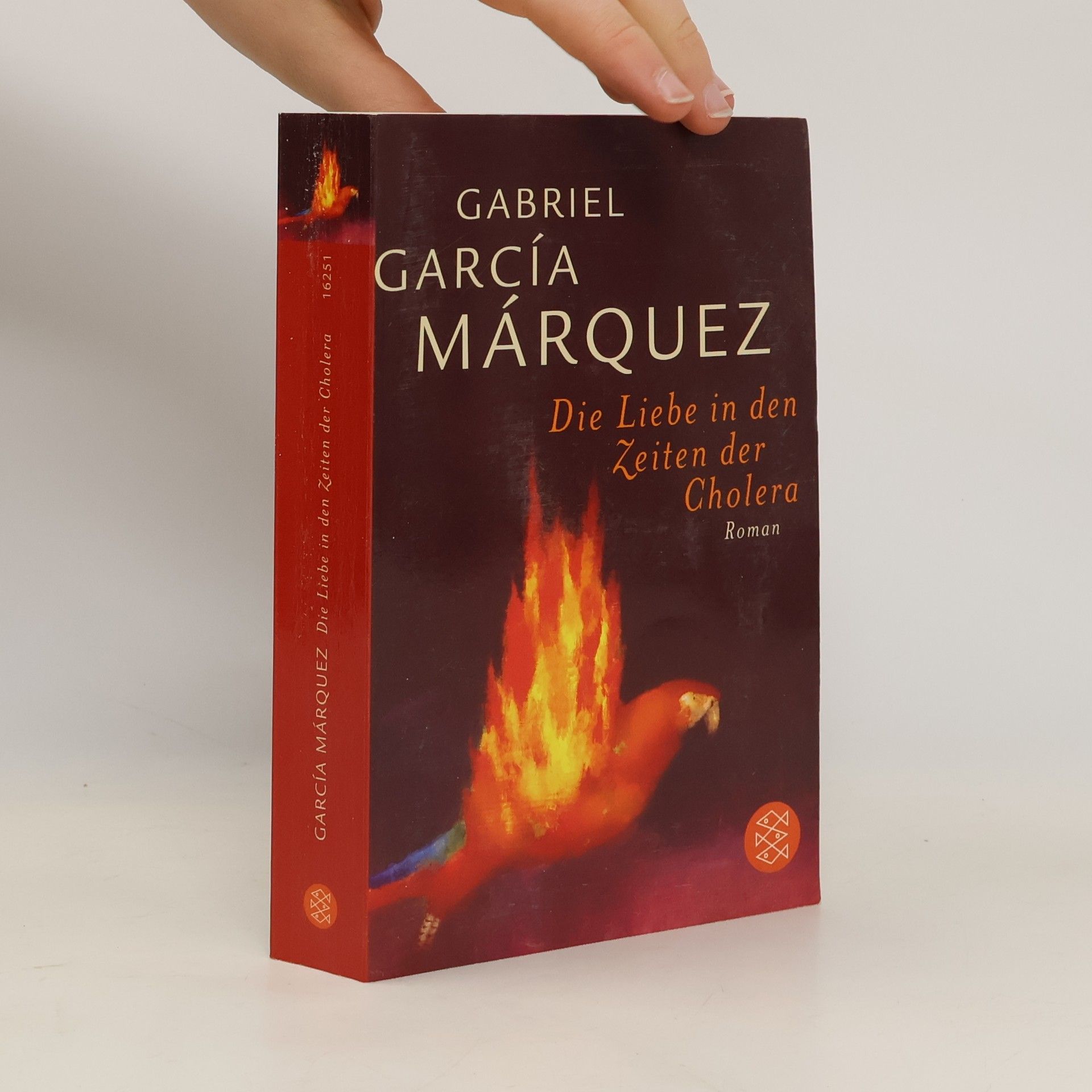 Gabriel García Márquez Die Liebe in den Zeiten der Cholera