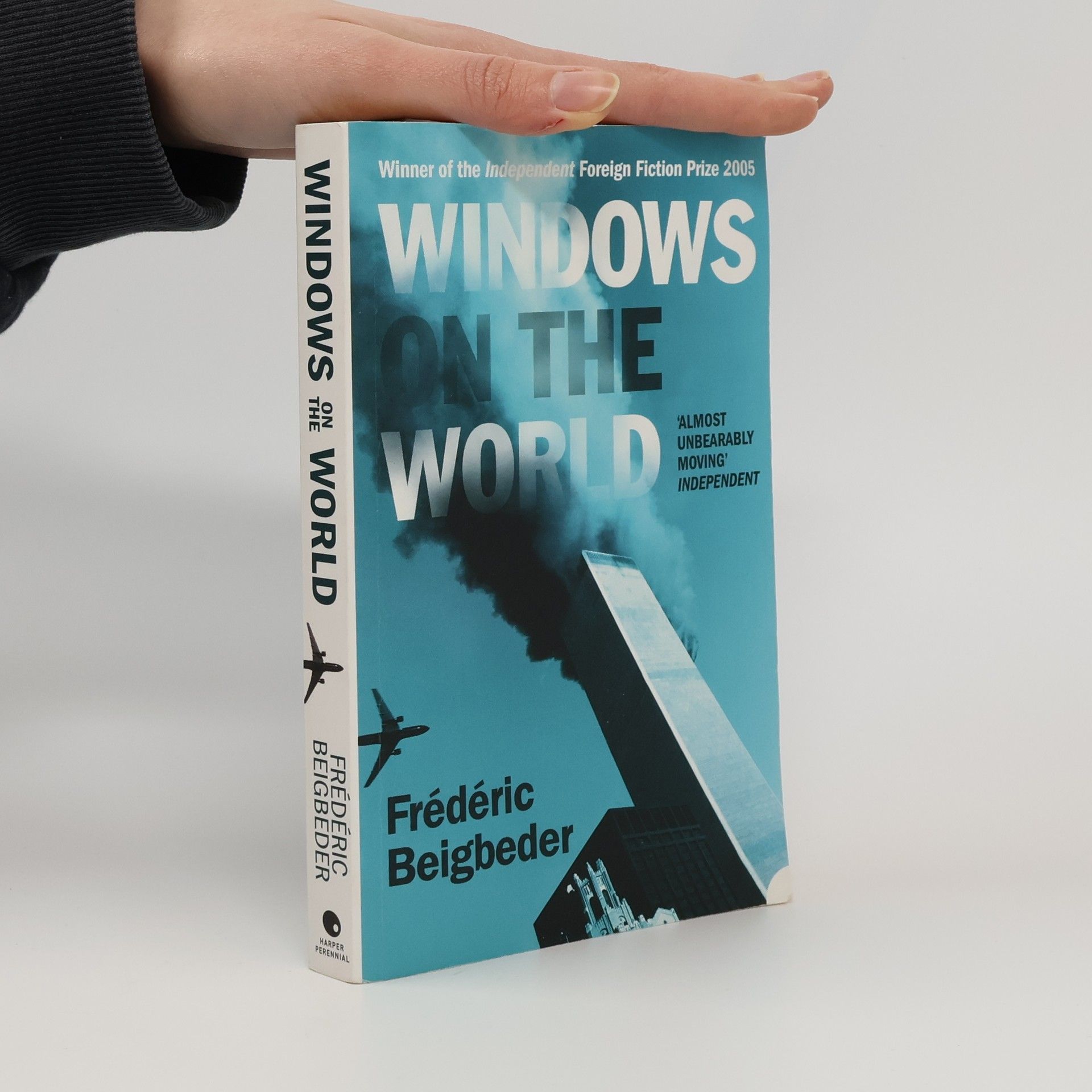 Frédéric Beigbeder Windows on the World