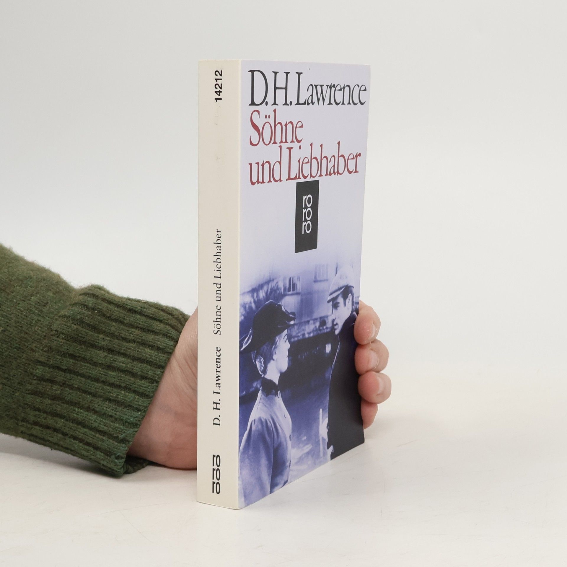 David Herbert Lawrence Söhne und Liebhaber