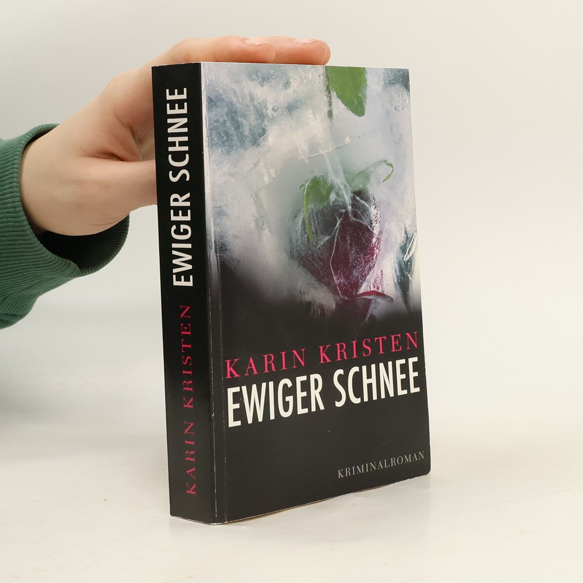 Karin Kristen Ewiger Schnee