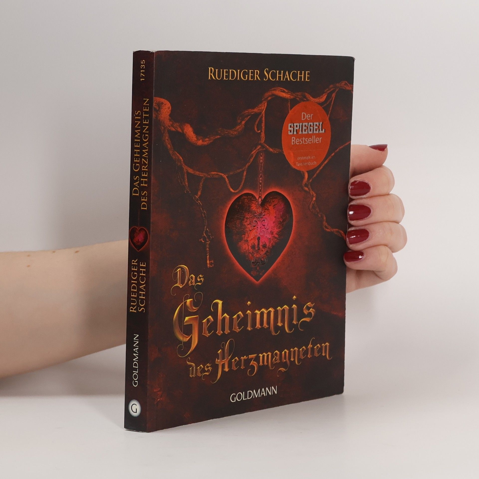 Ruediger Schache Das Geheimnis des Herzmagneten