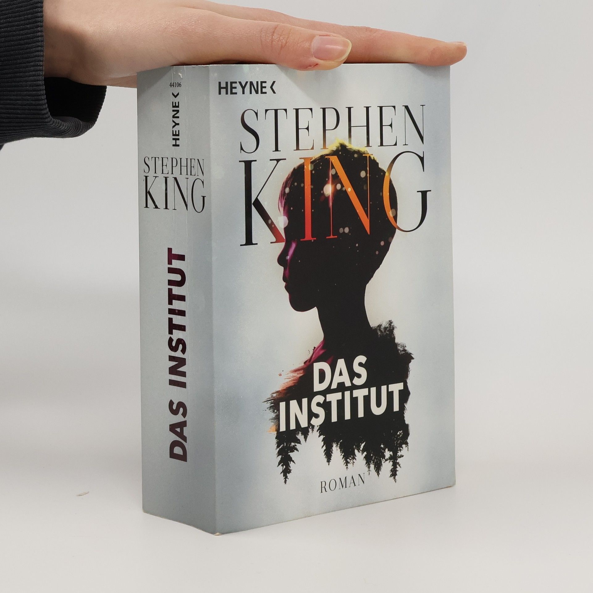 Stephen King Das Institut