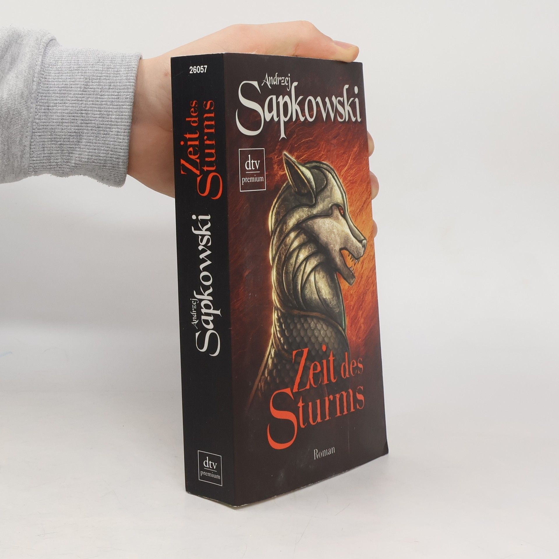 Andrzej Sapkowski Zeit des Sturms