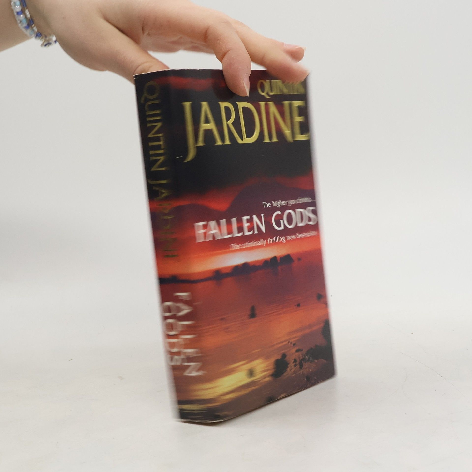 Quintin Jardine Fallen Gods (Bob Skinner series, Book 13)