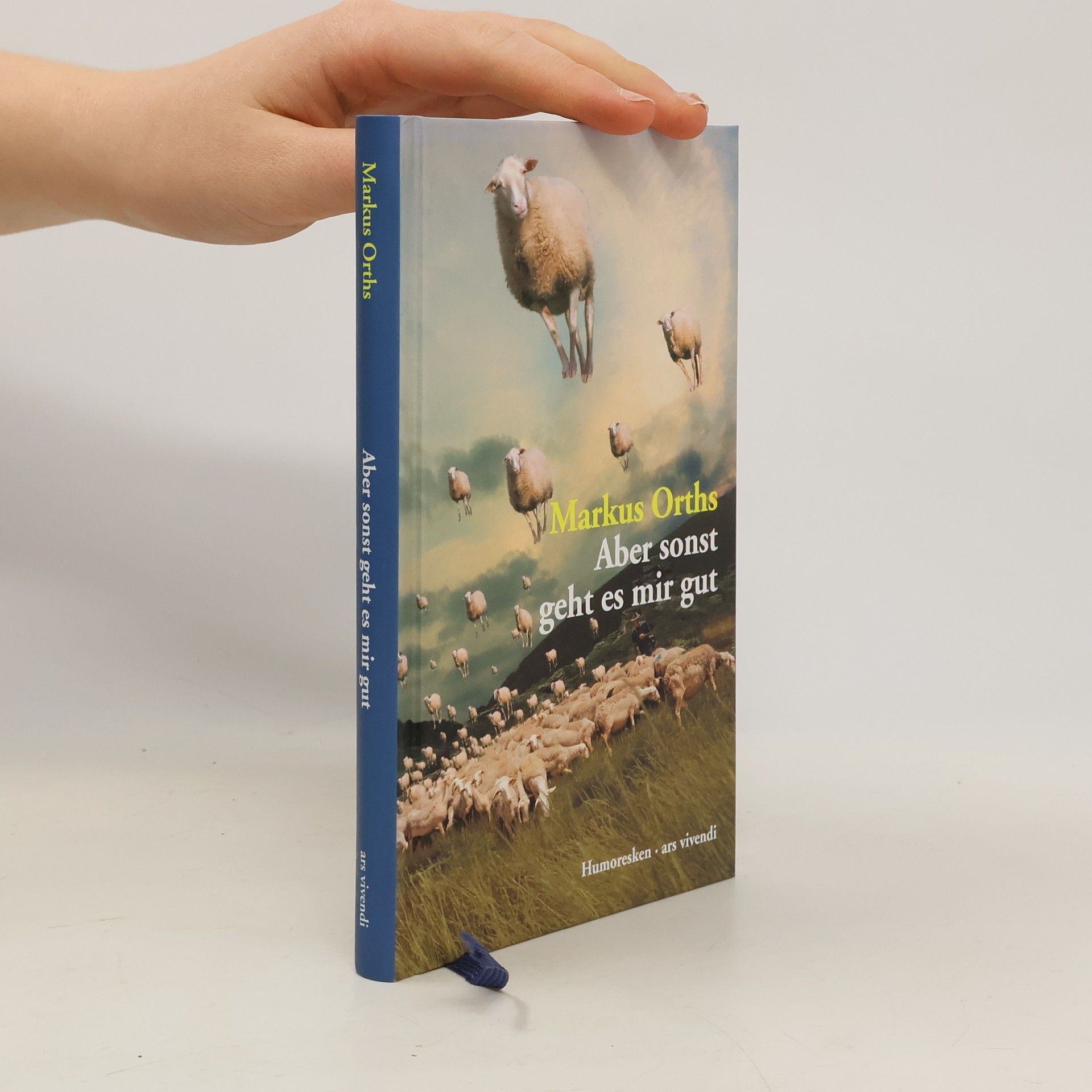 Markus Orths Aber sonst geht es mir gut