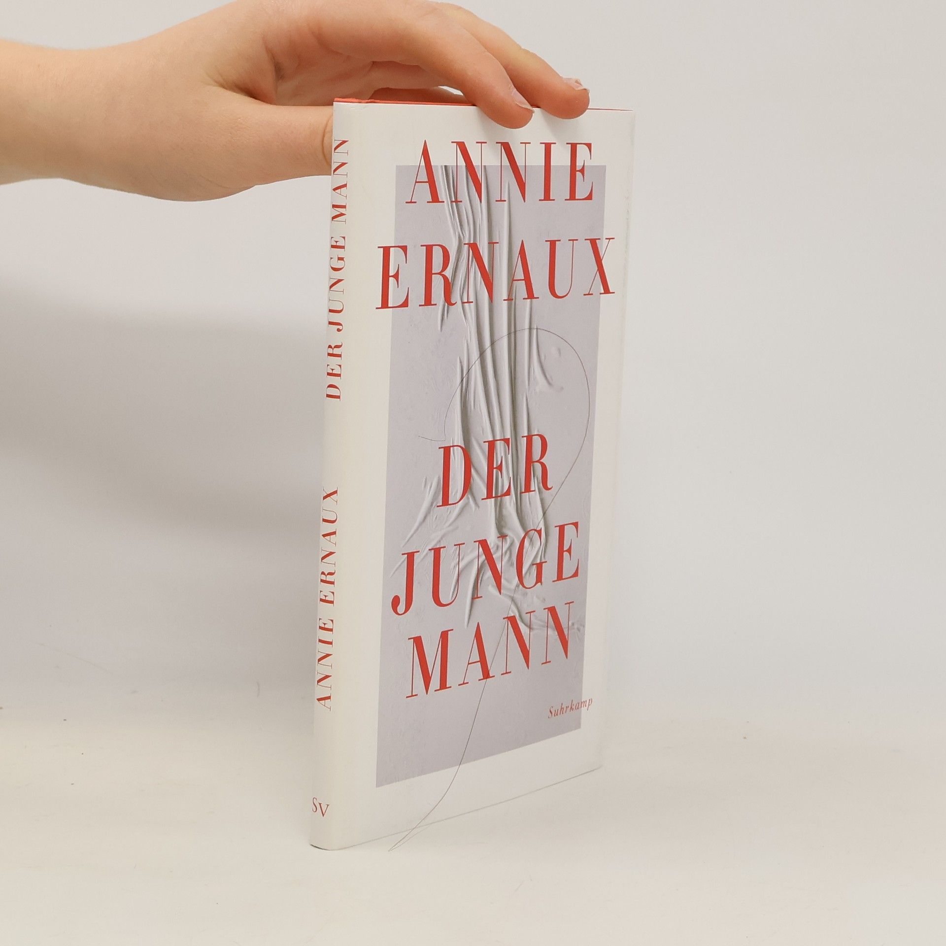 Annie Ernaux Der junge Mann