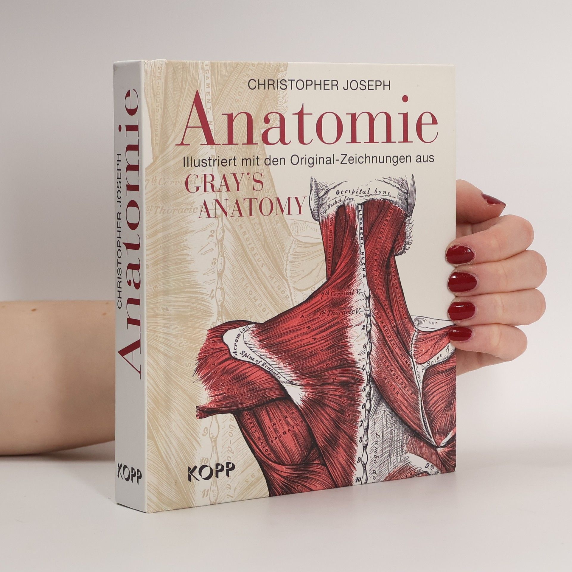 Anatomie. Ilustriert mit den Original-Zeichnungen aus Gray's Anatomy
