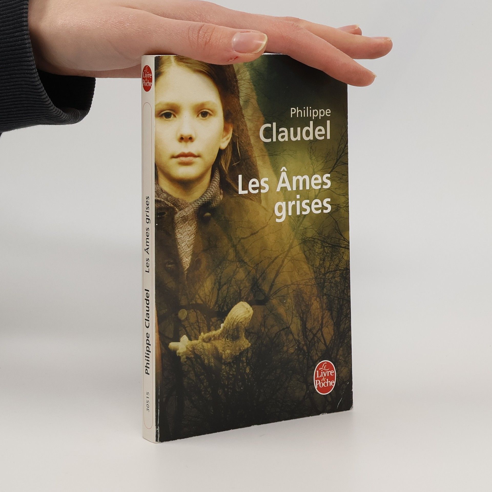 Philippe Claudel Les âmes grises