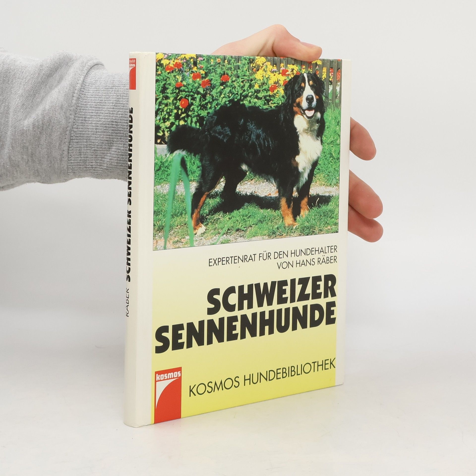 Hans Räber Schweizer Sennenhunde