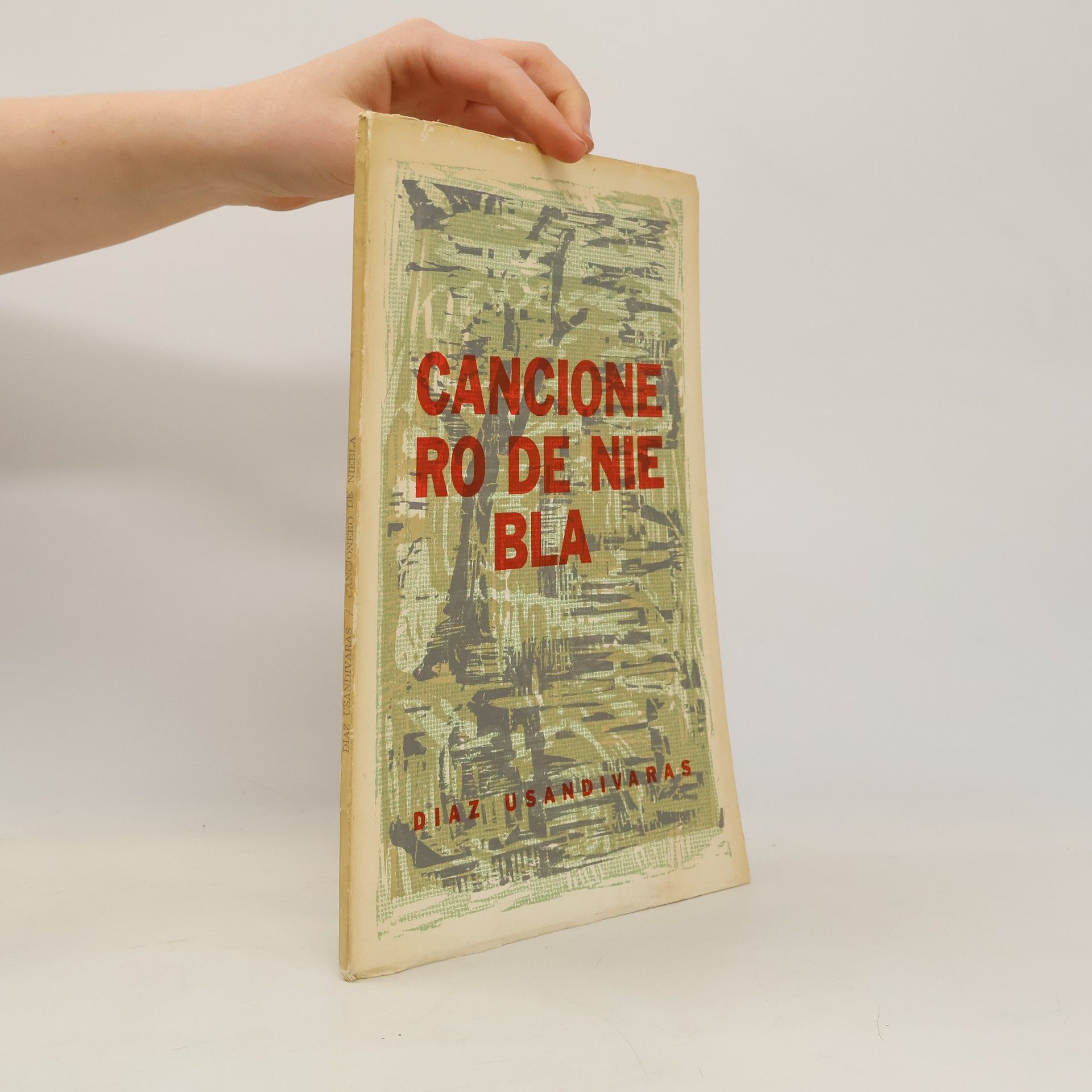 Diaz Usandivaras Cancione ro de nie bla