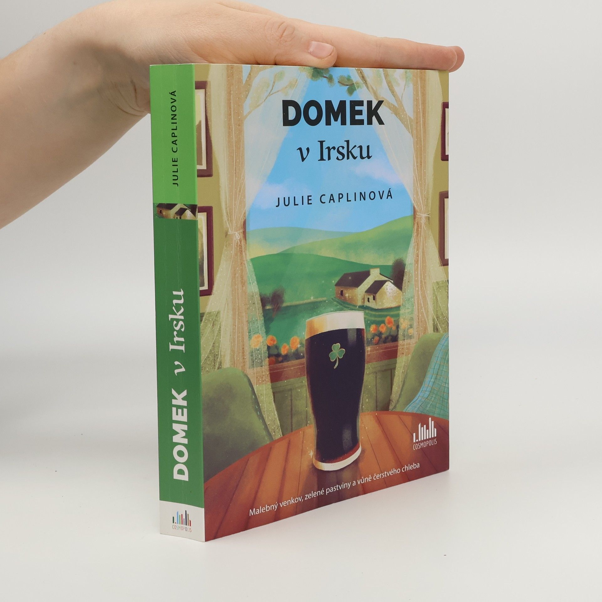 Julie Caplin Domek v Irsku