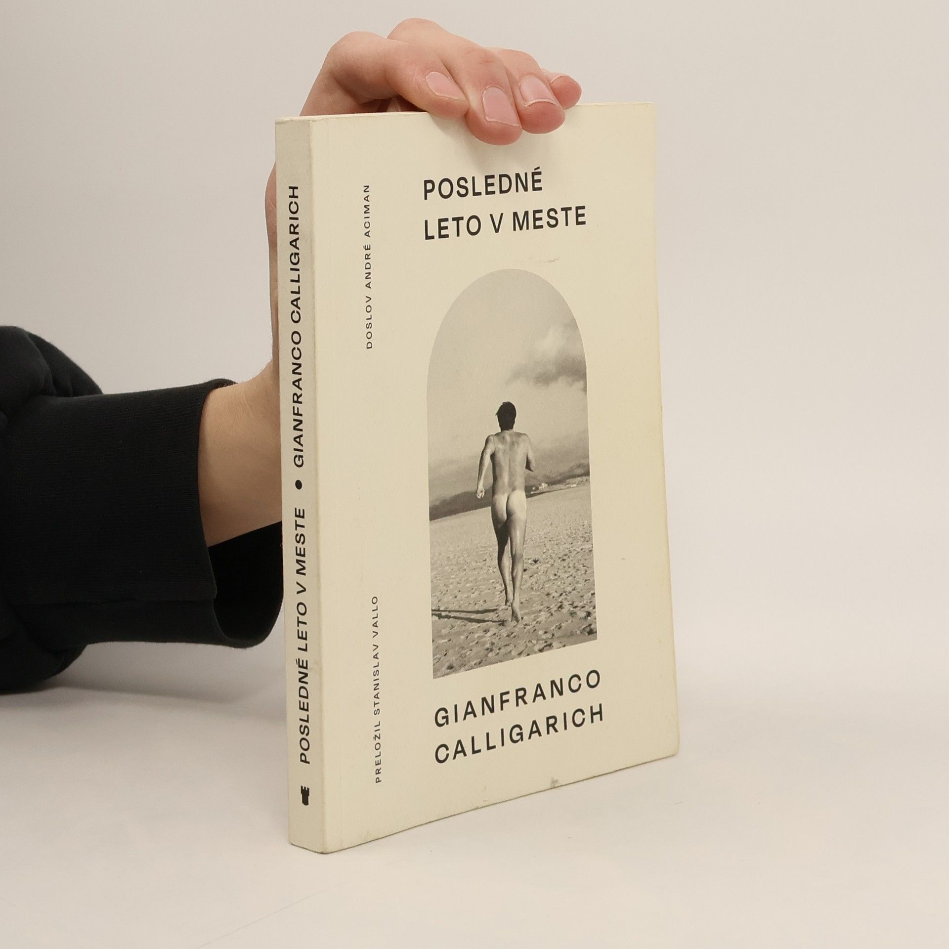 Gianfranco Calligarich Posledné leto v meste