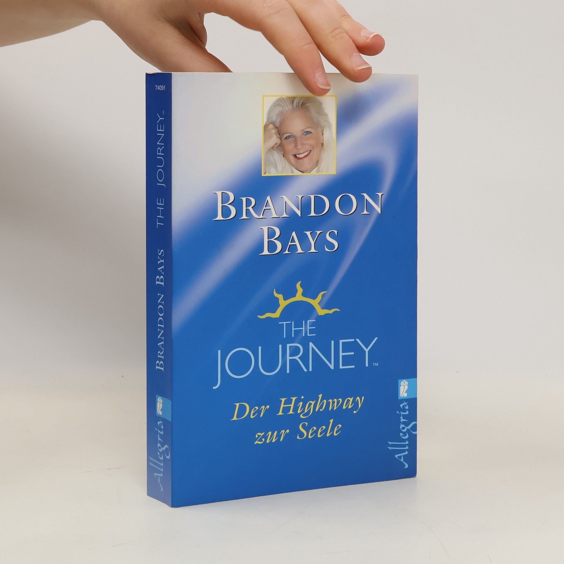 Brandon Bays Der Highway zur Seele