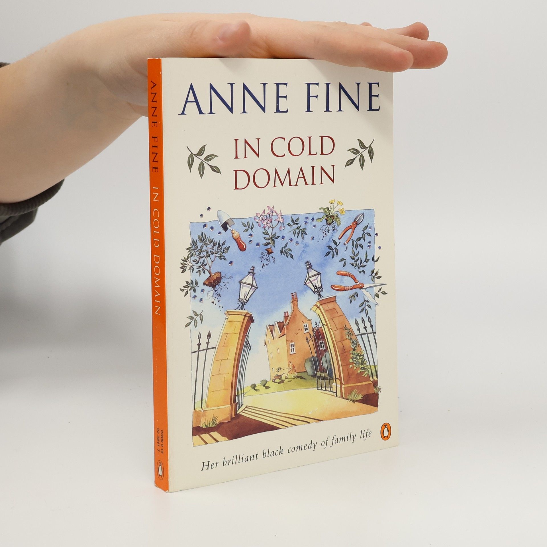 Anne Fine In Cold Domain