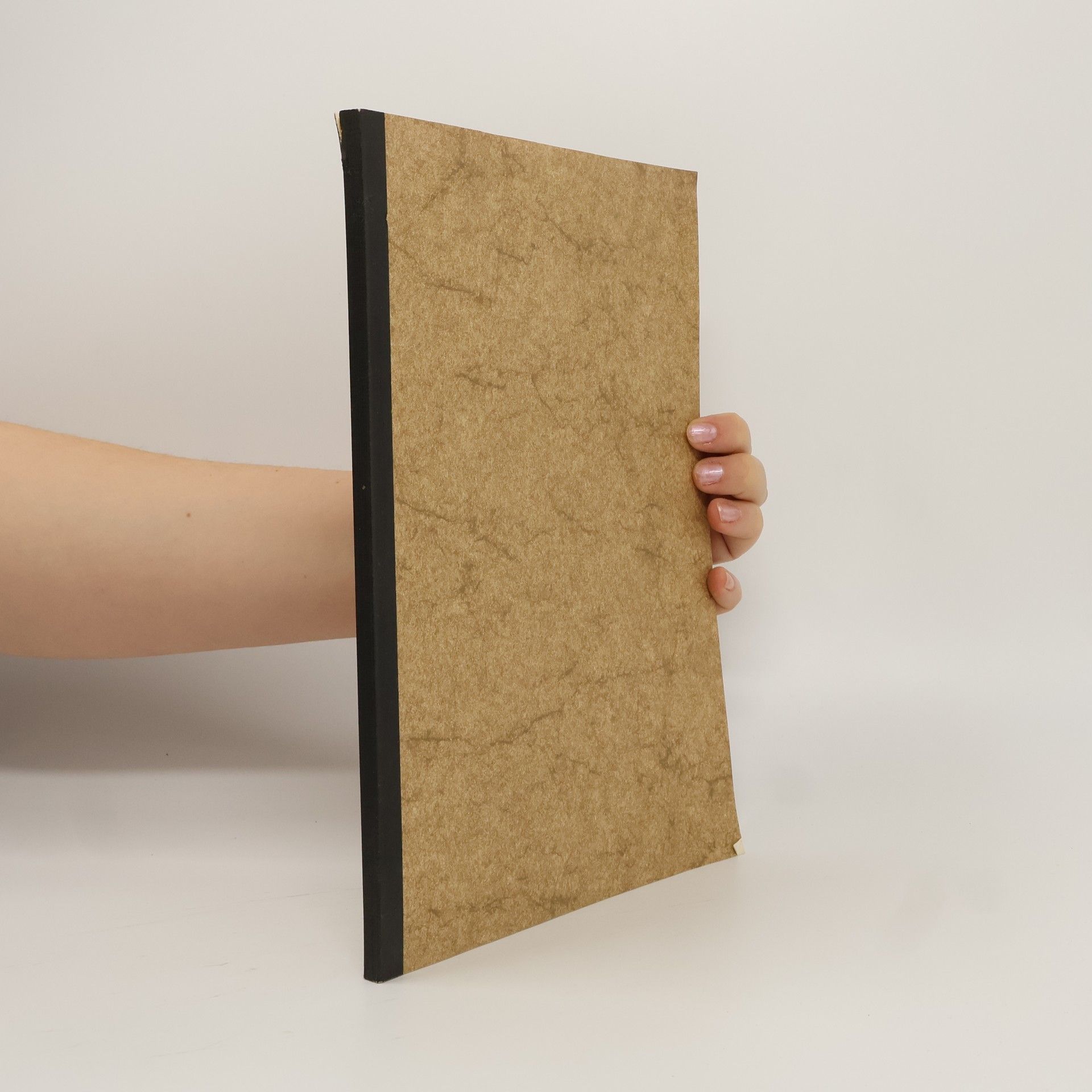 Frank Cordes Bau eines Elektronischen modells zur Kontrastverschärfung mit variablen Parametern