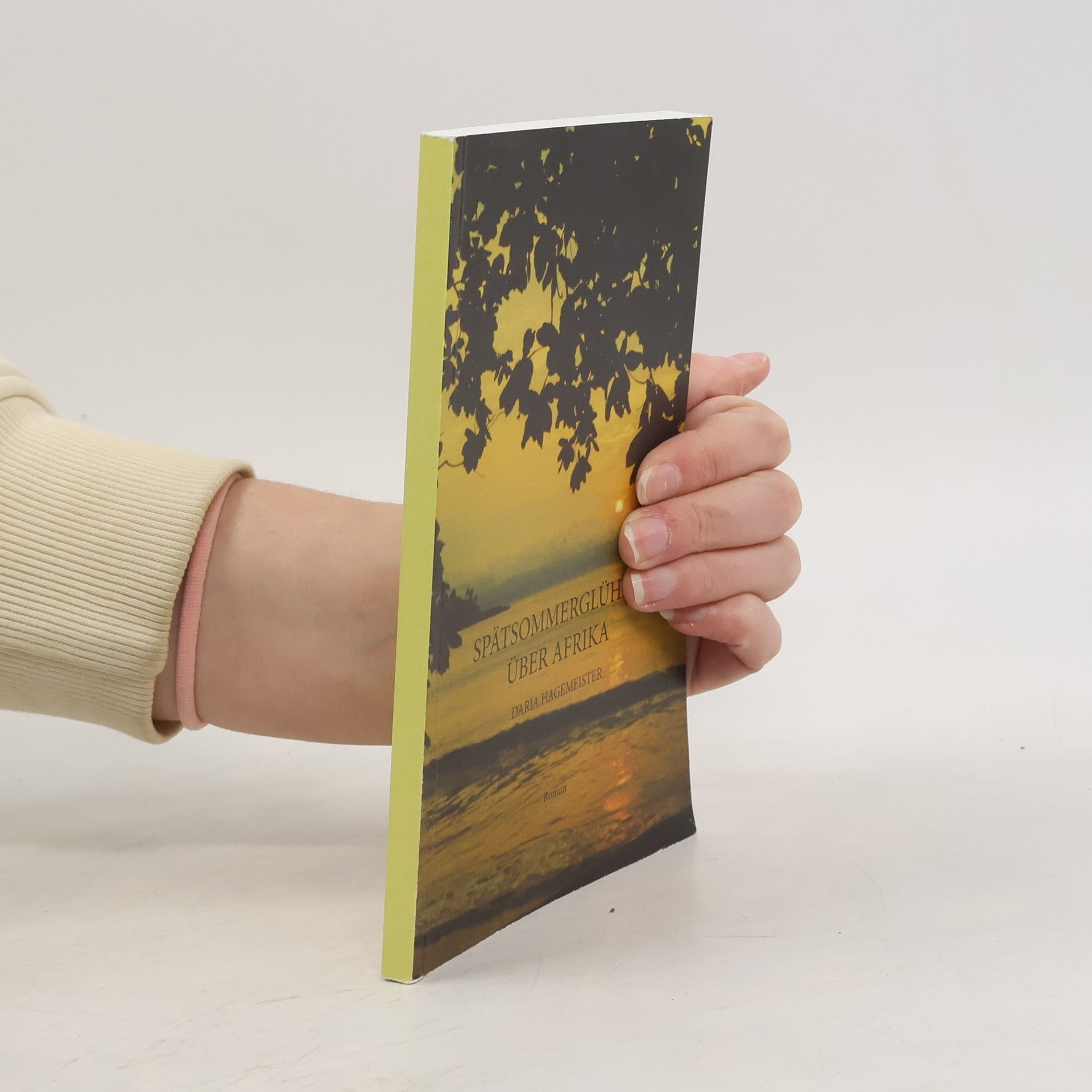 Daria Hagemeister Spätsommerglühen Über Afrika