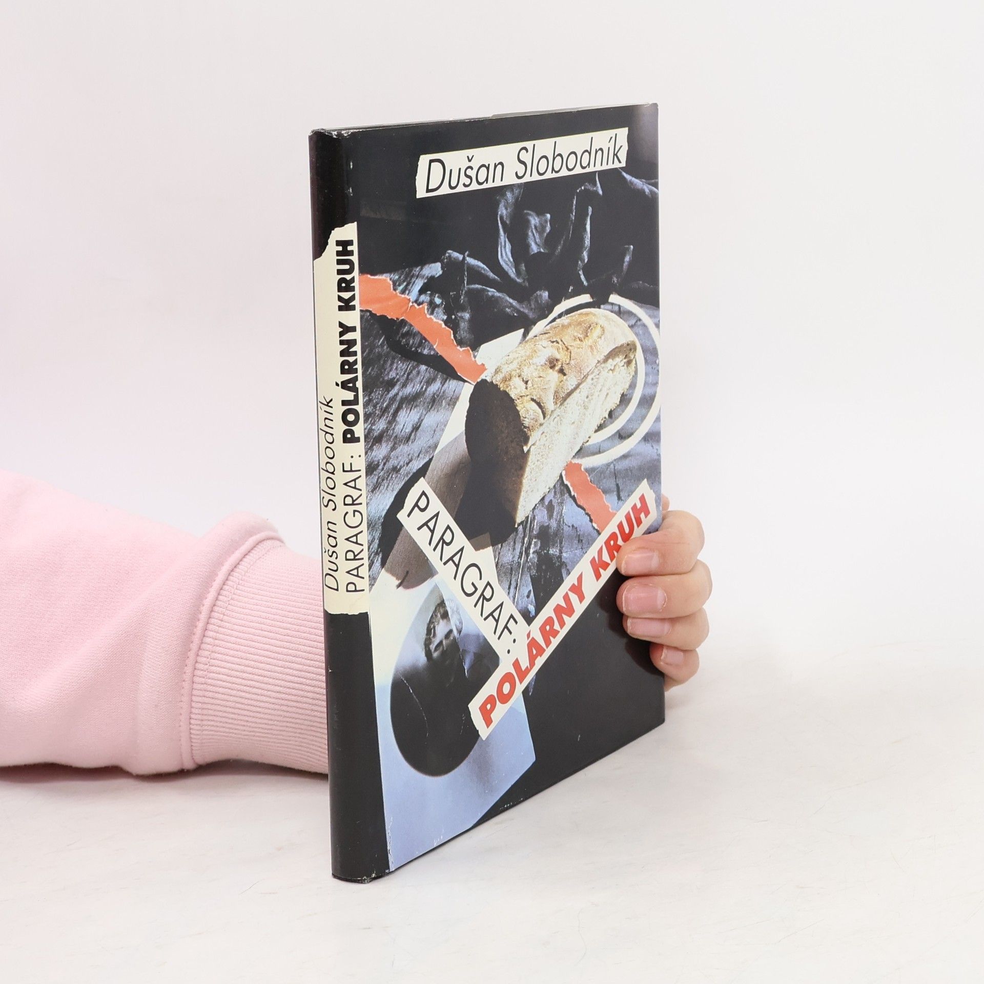 Dušan Slobodník Paragraf. Polárny kruh