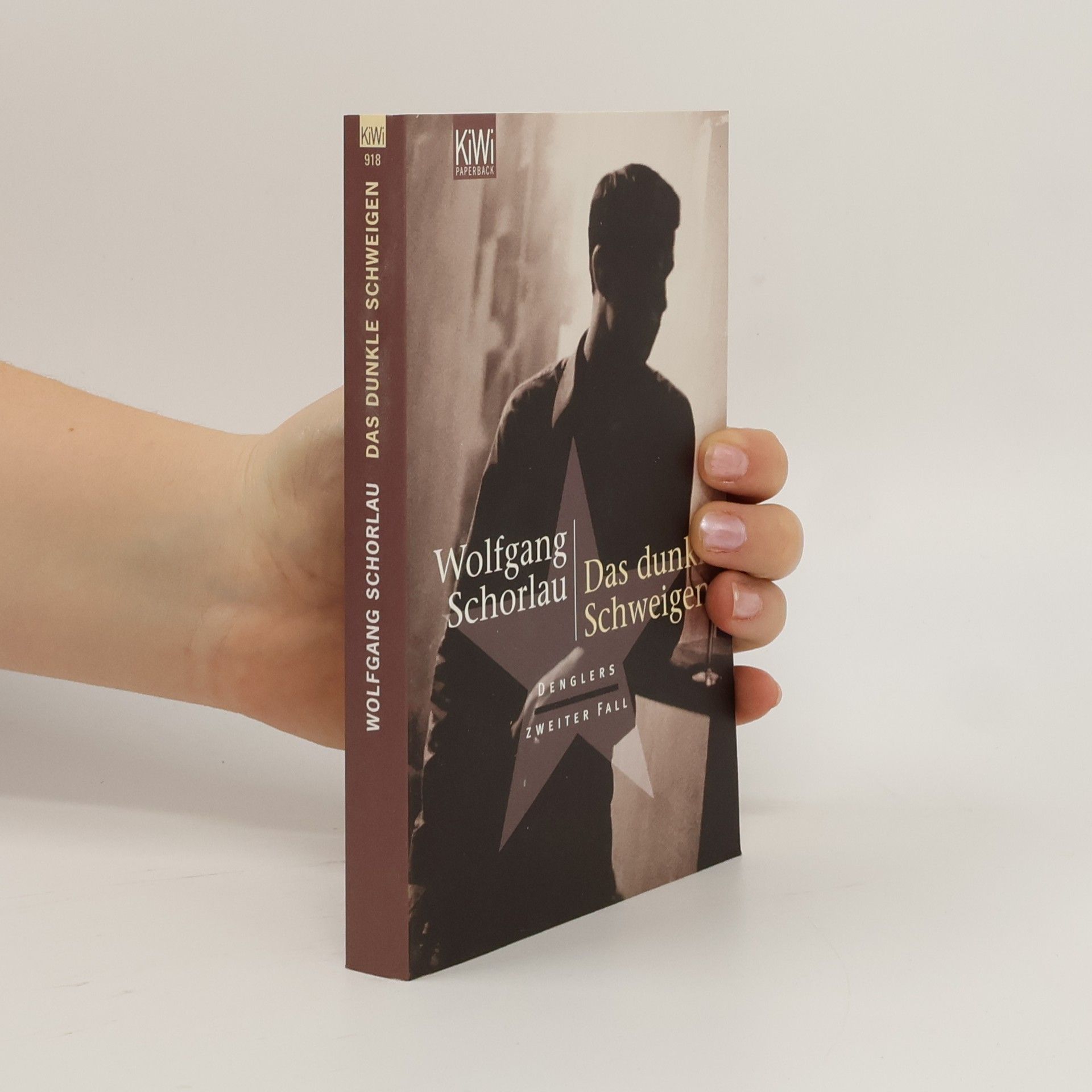 Wolfgang Schorlau Das dunkle Schweigen
