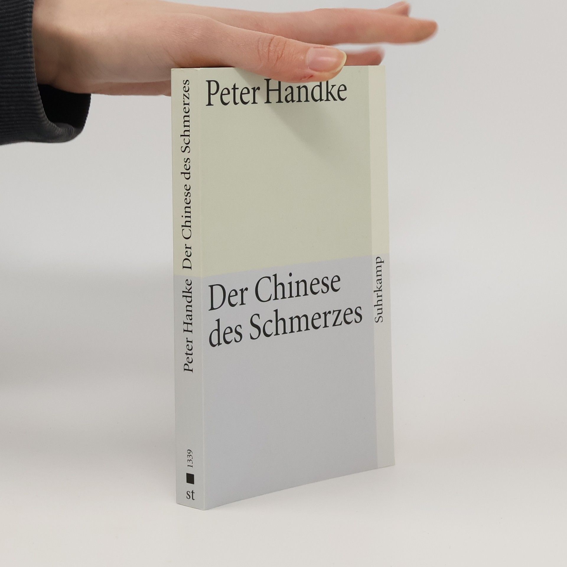 Peter Handke Der Chinese des Schmerzes