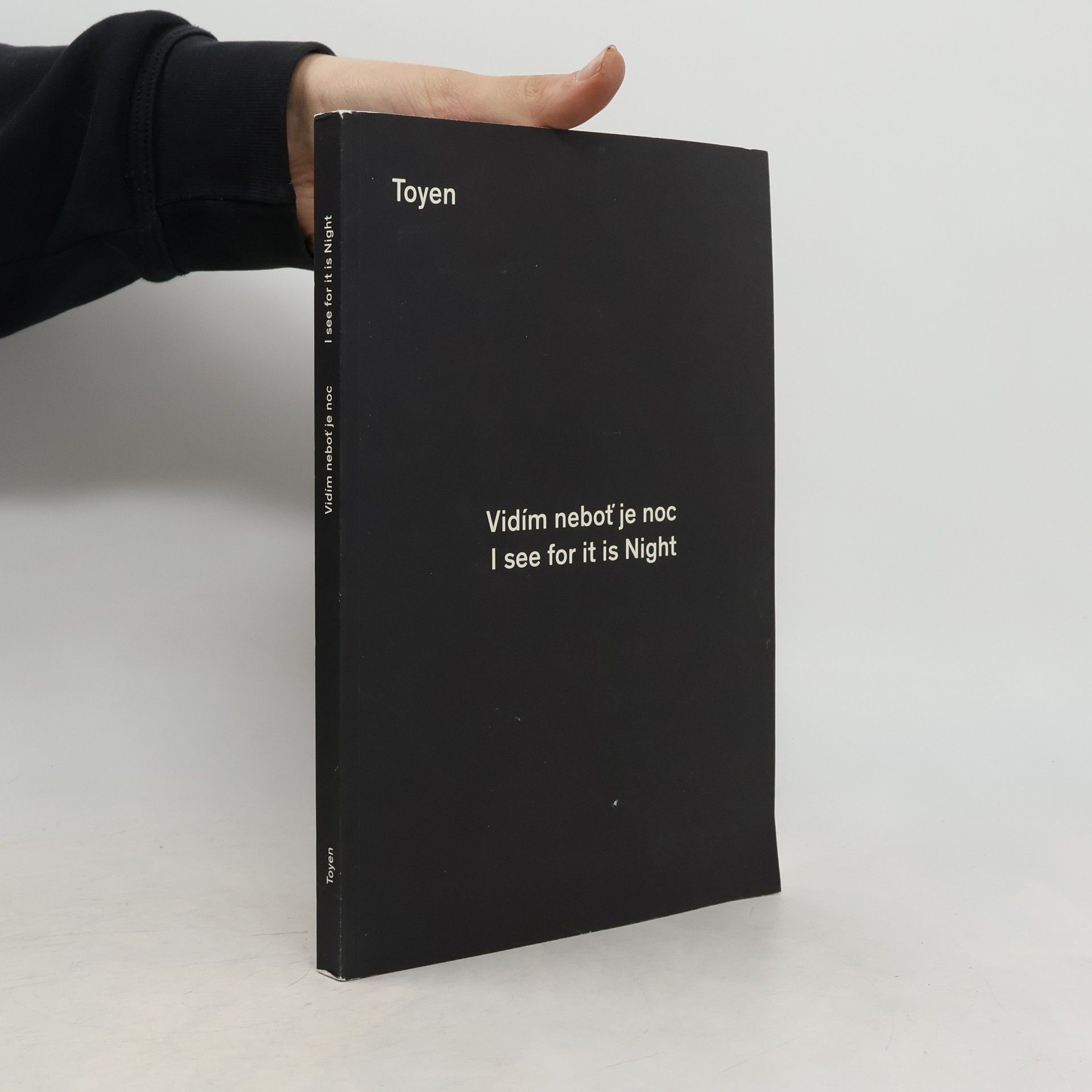 Toyen. Vidím neboť je noc. I see for it is night
