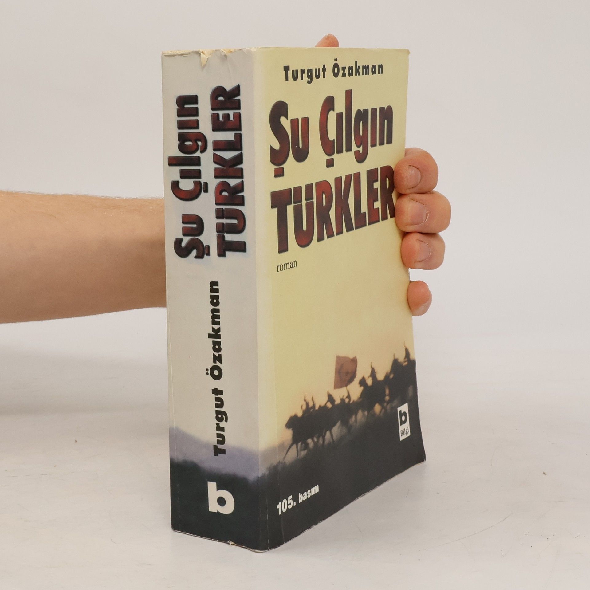 Şu çılgın Türkler