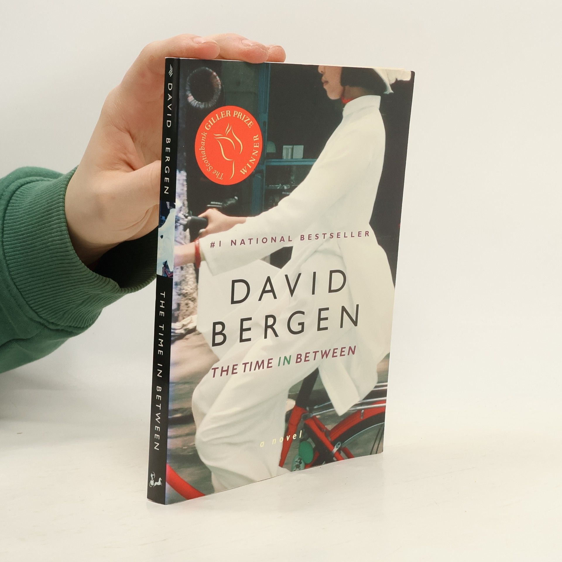 David Bergen The Time in Between