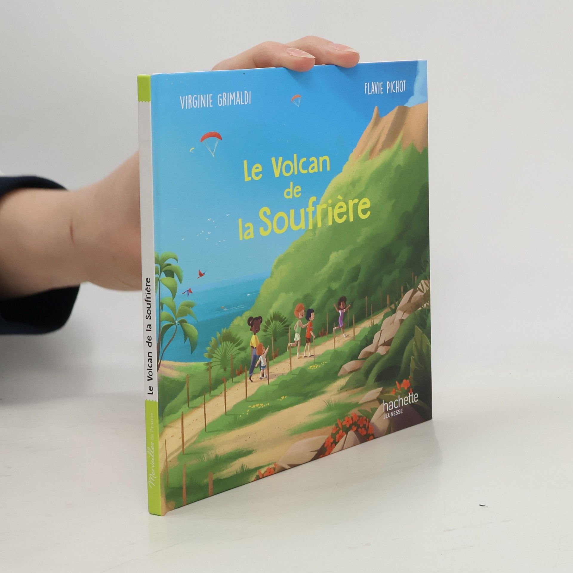 Virginie Grimaldi Le Volcan de la Soufrière