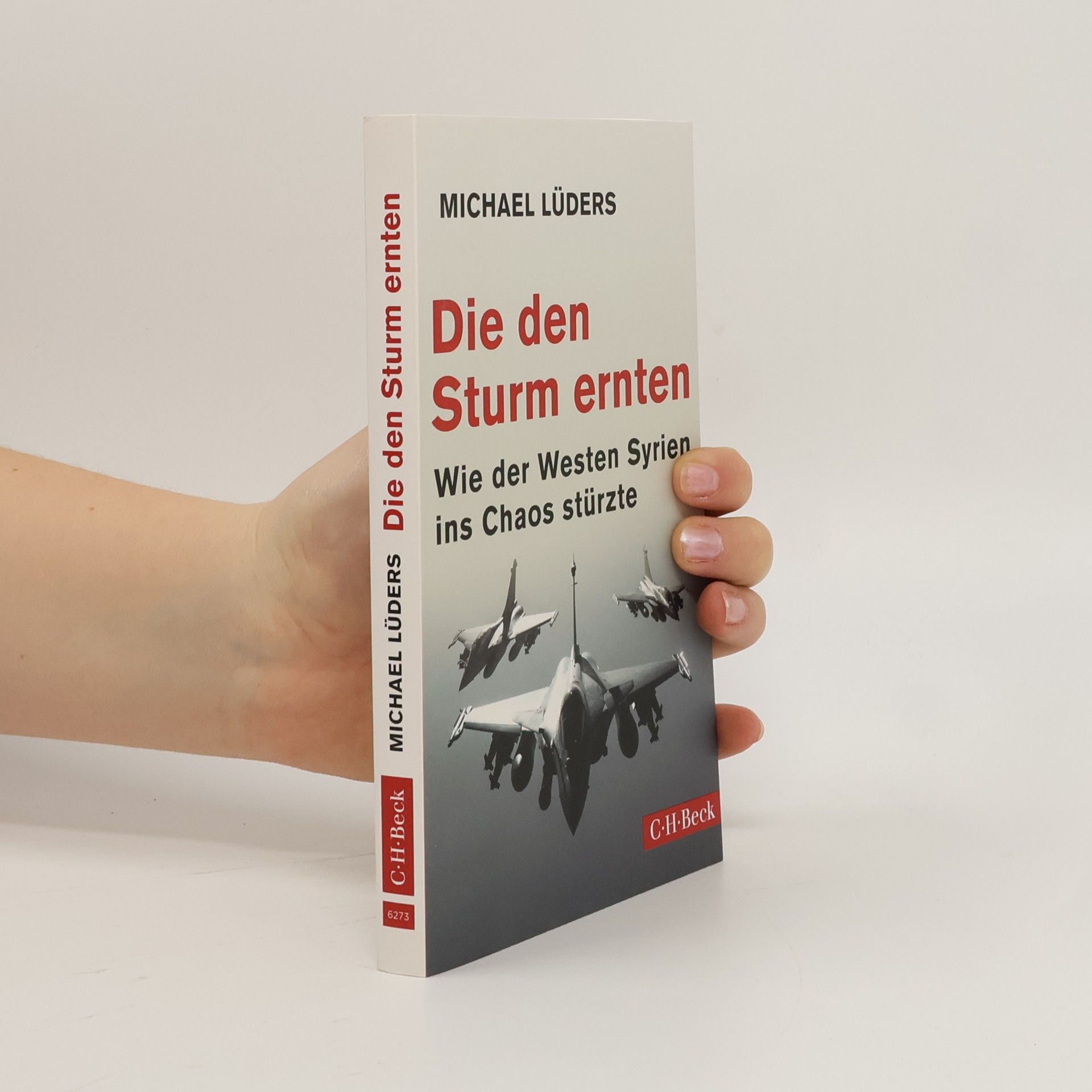 Michael Lüders Die den Sturm ernten