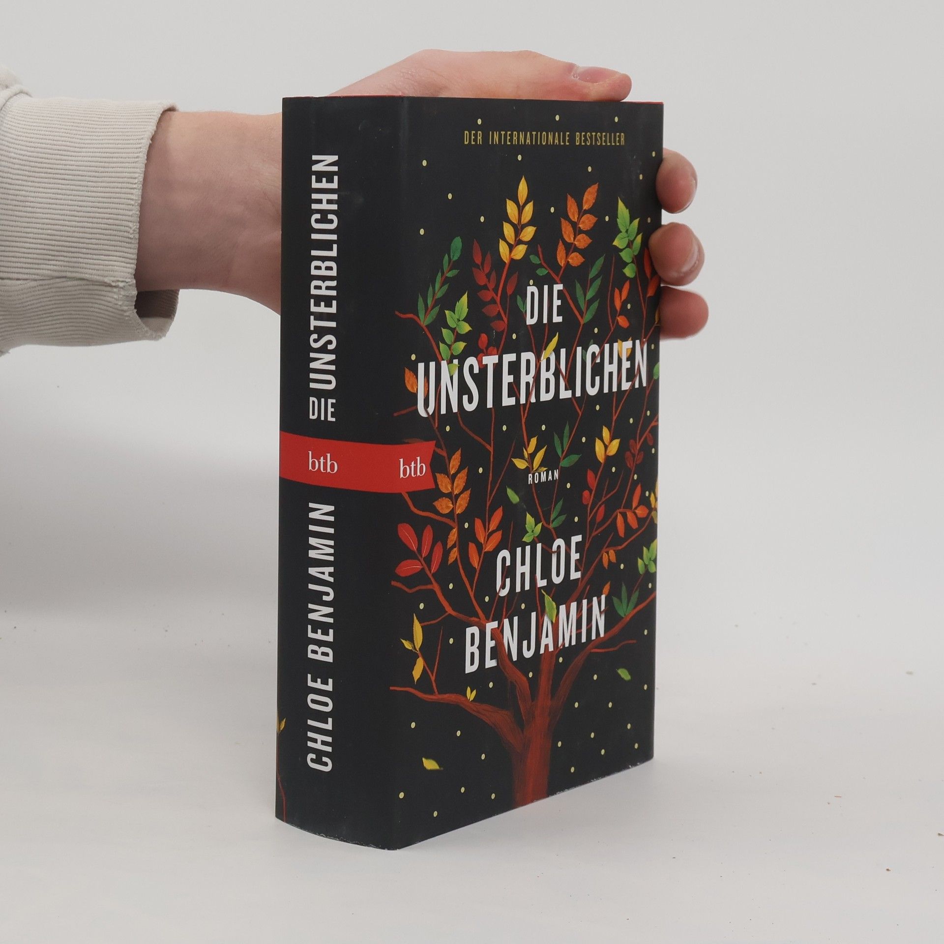 Chloe Benjamin Die Unsterblichen