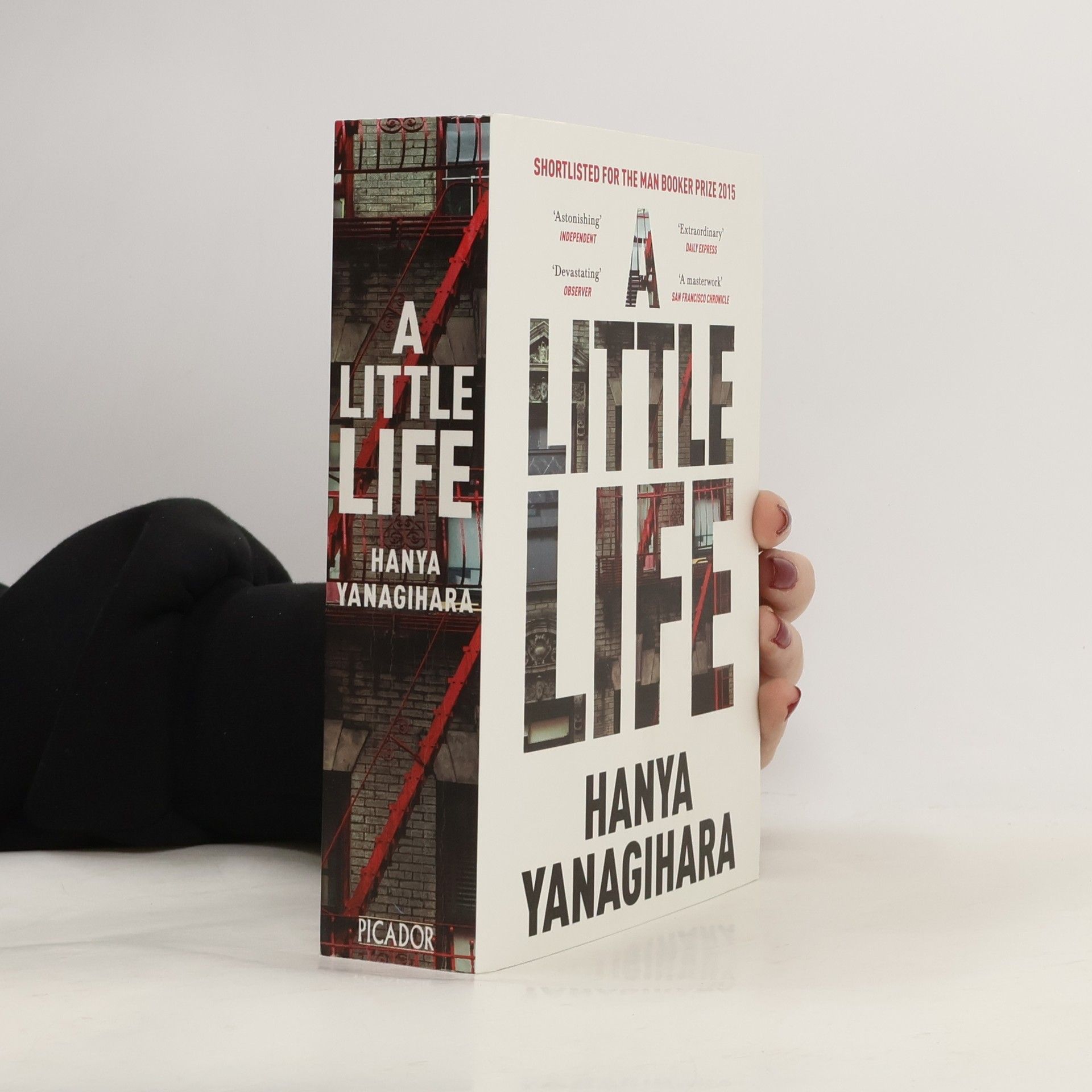 Hanya Yanagihara A Little Life