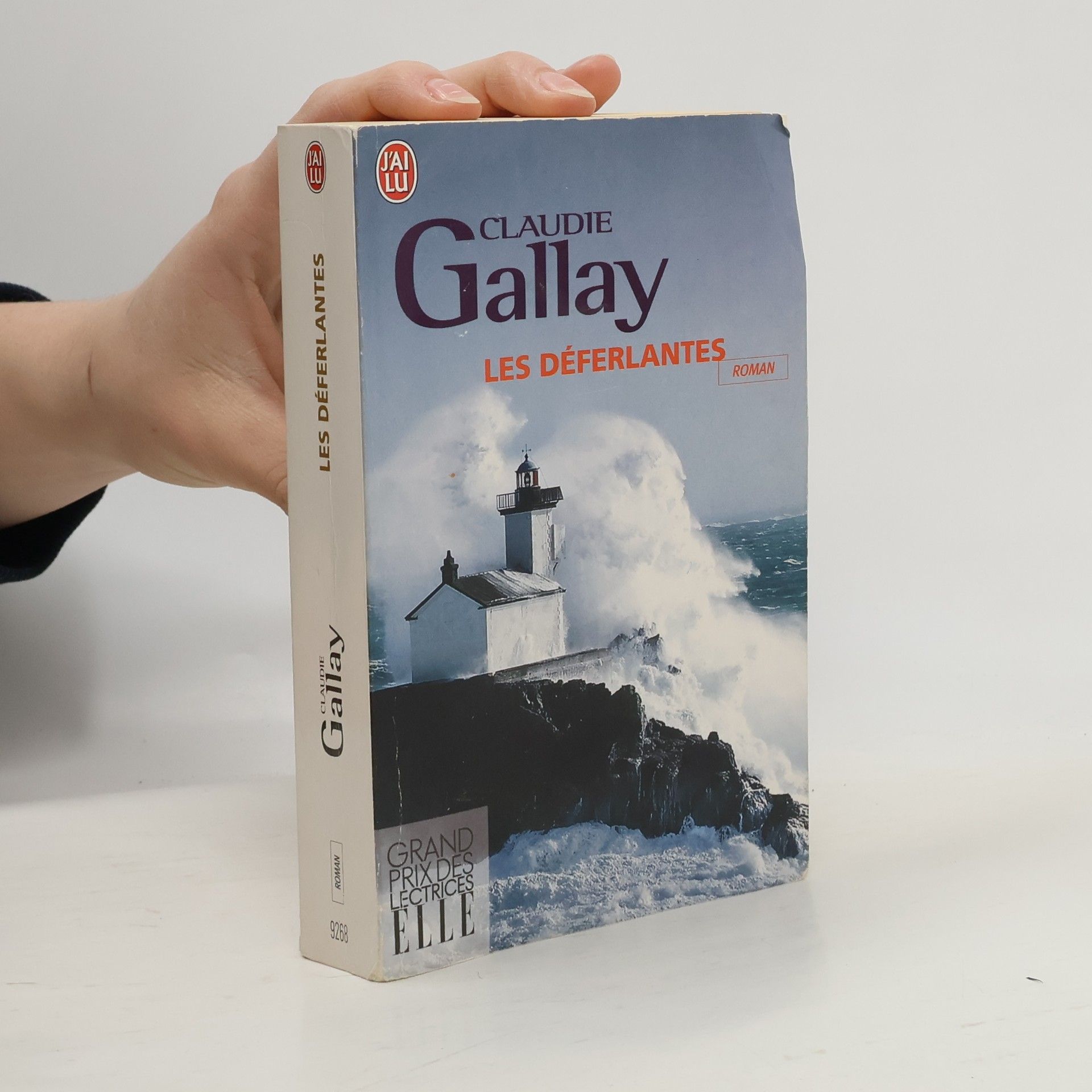 Claudie Gallay Les déferlantes